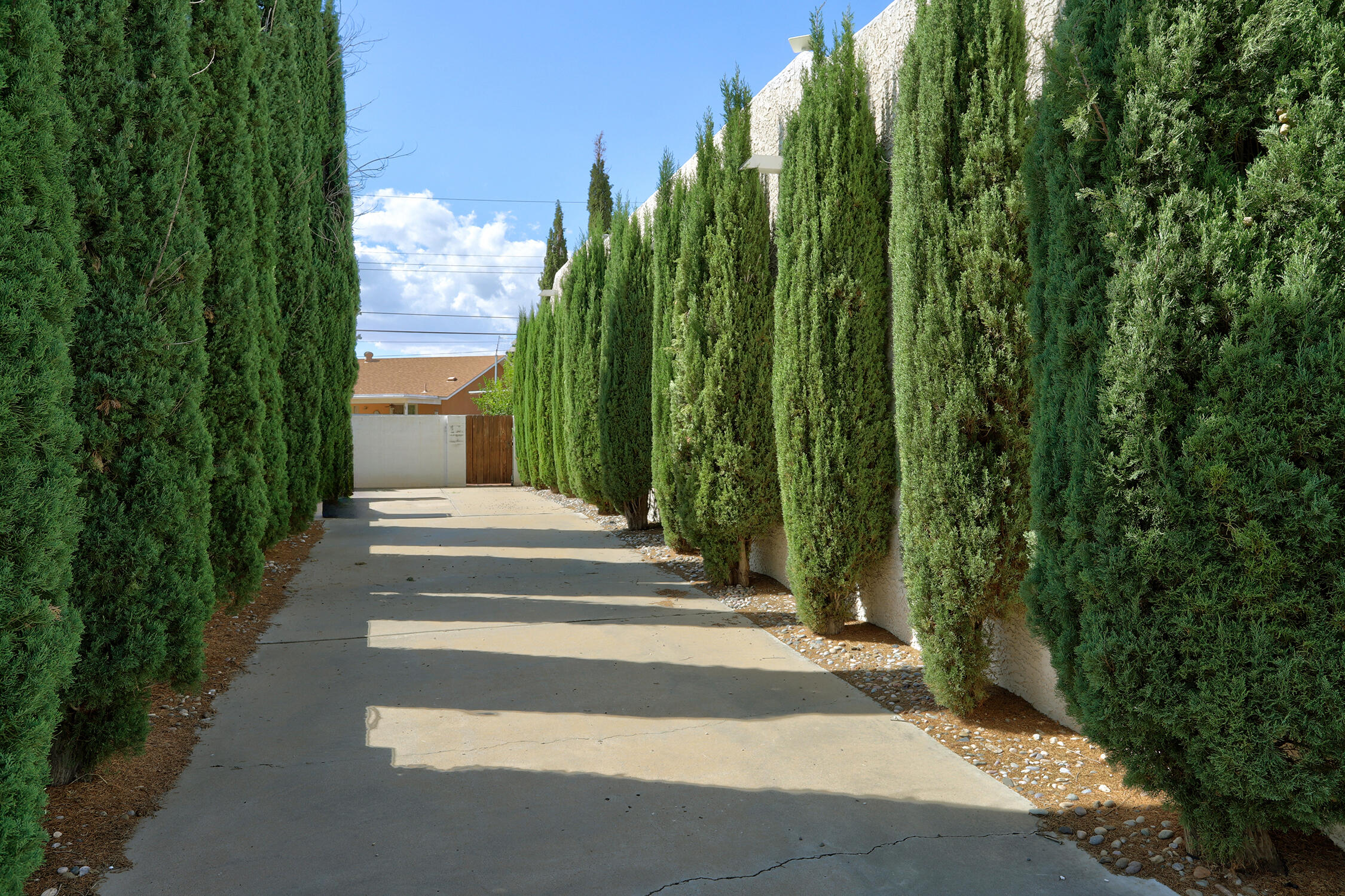 3605 MOON Street NE A