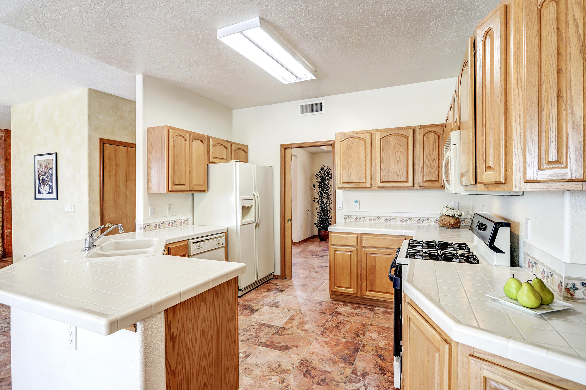 1675 Bosque Vista Loop