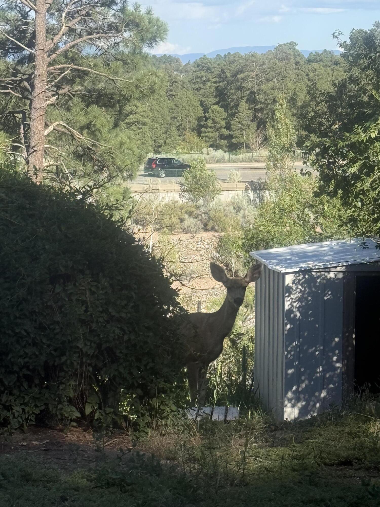 4039 SYCAMORE Street