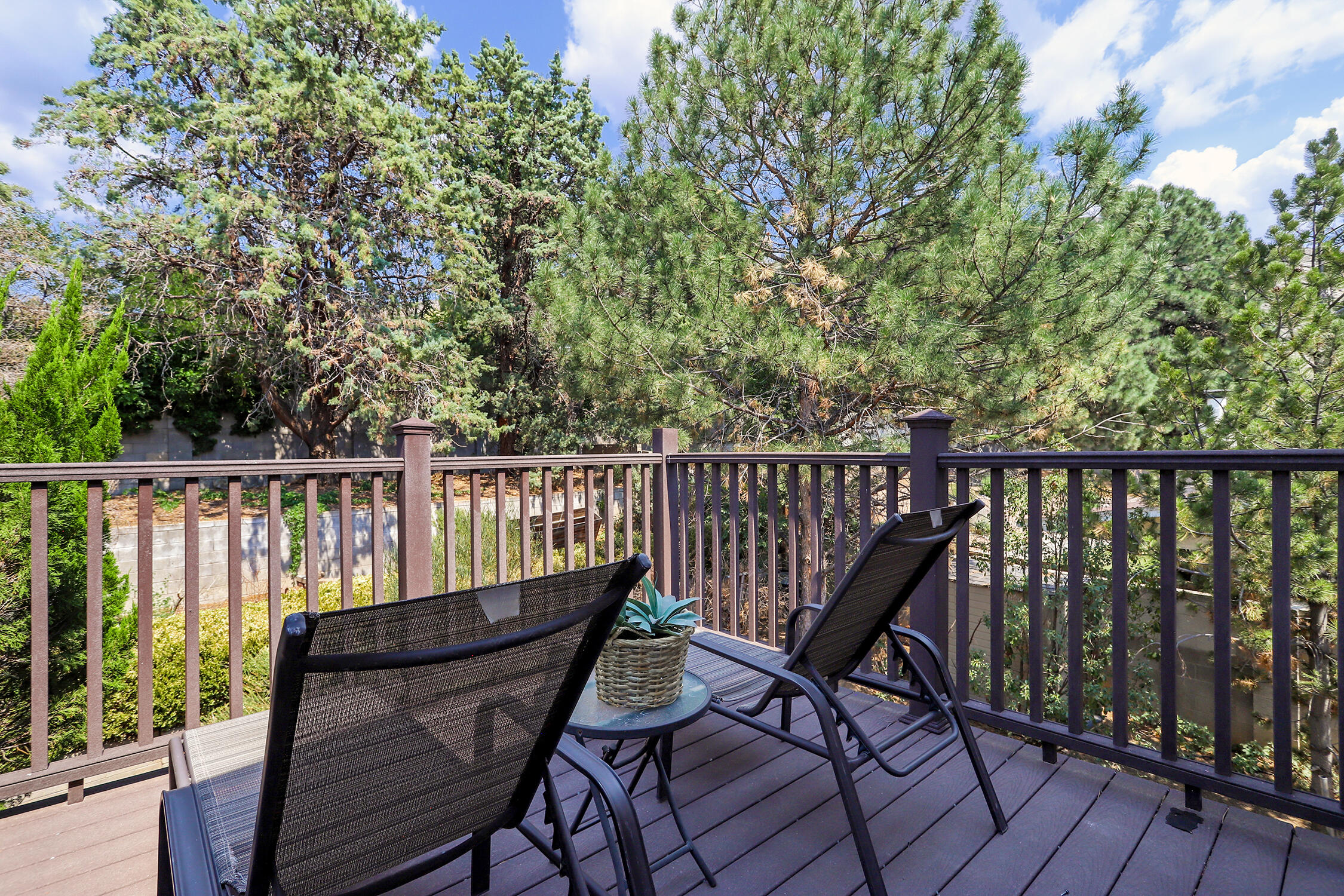 3900 Big Sky Drive NE