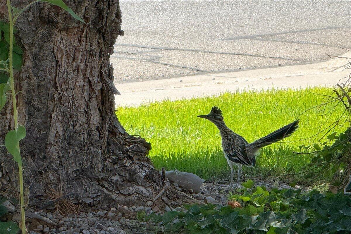 3043 LOGAN MEADOWS Drive NE