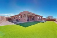 4138 ARBOLES BONITOS