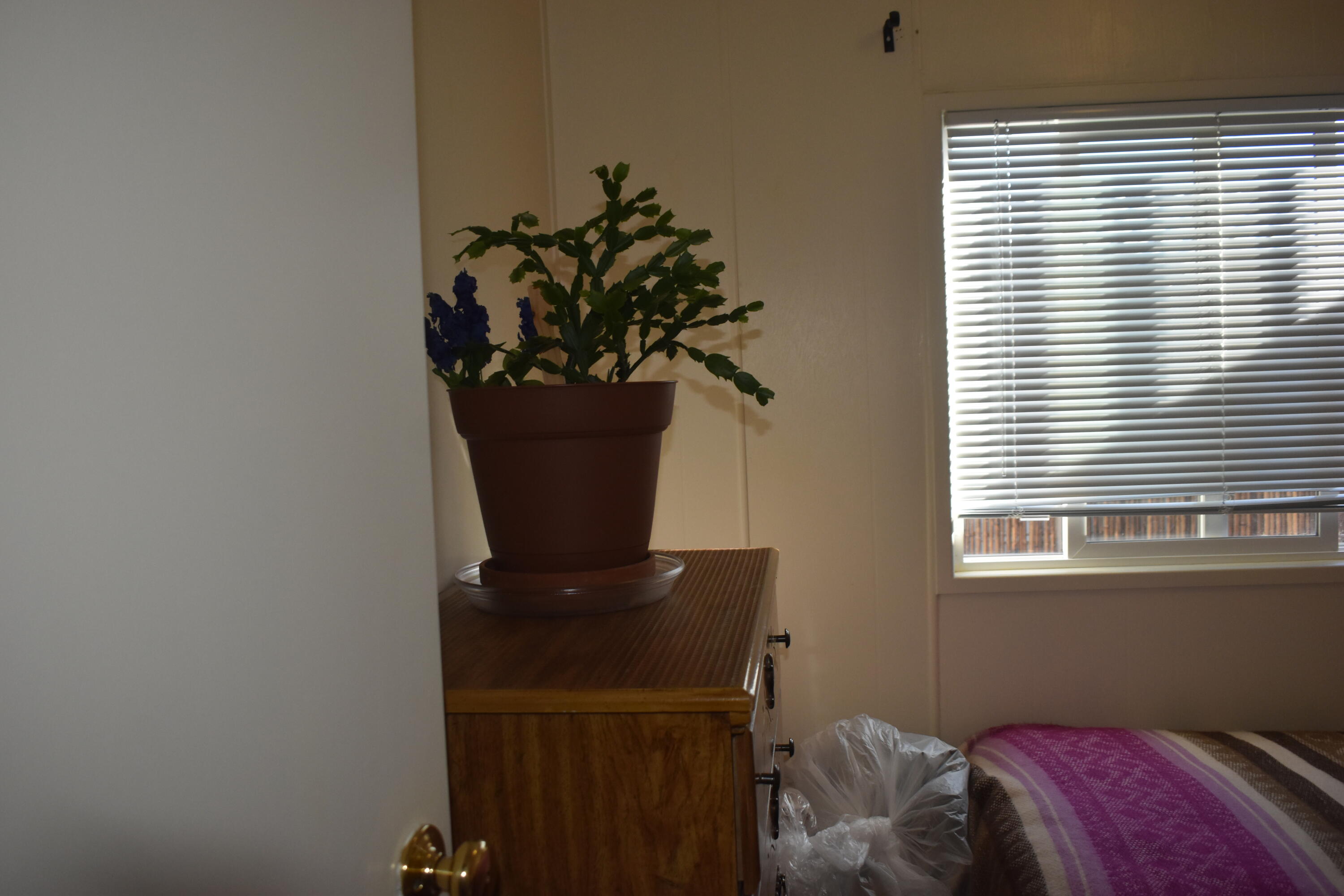 7112 E Pan American FWY NE 259