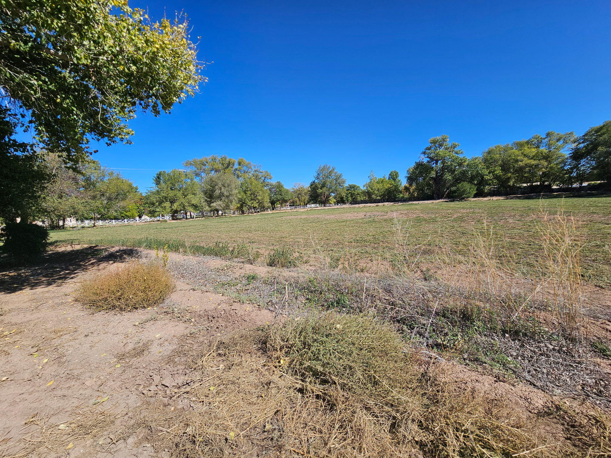 2216 Pajarito/ Parcel 1 Road SW