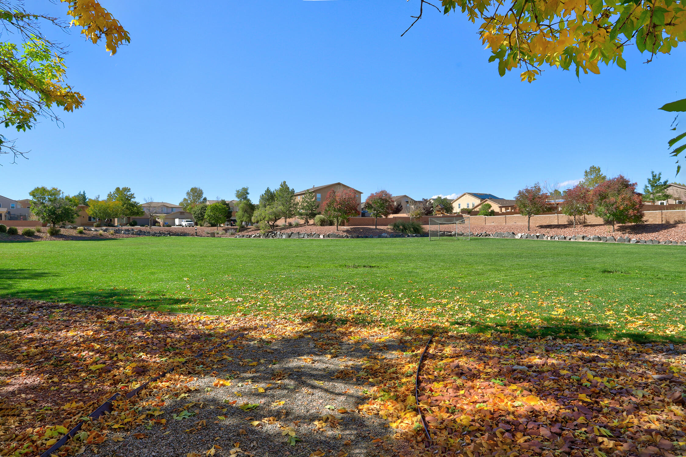 6904 Tree Line Avenue NW