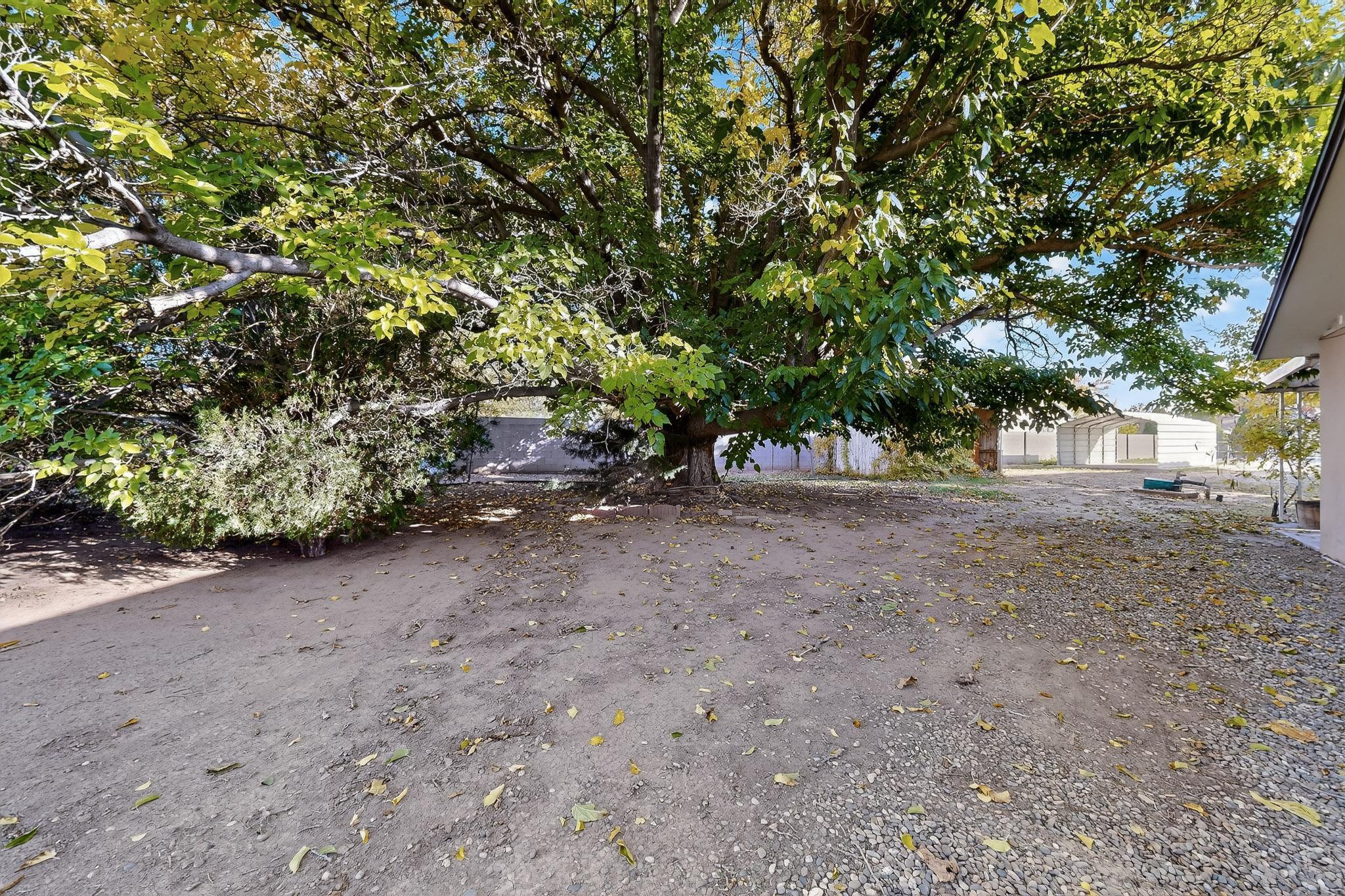 1809 Conita Real Avenue SW