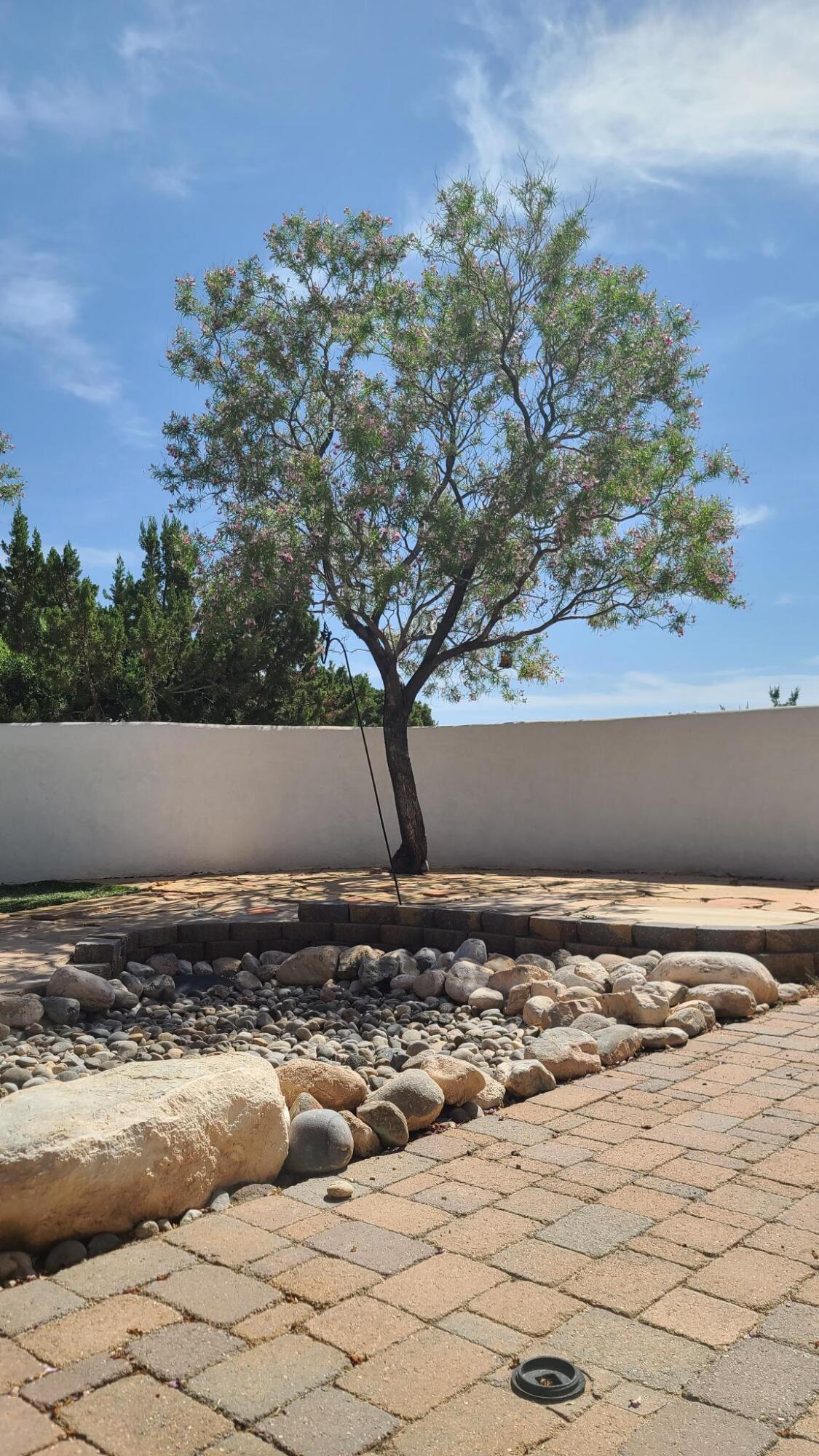 39 Camino De La Questa Del Aire