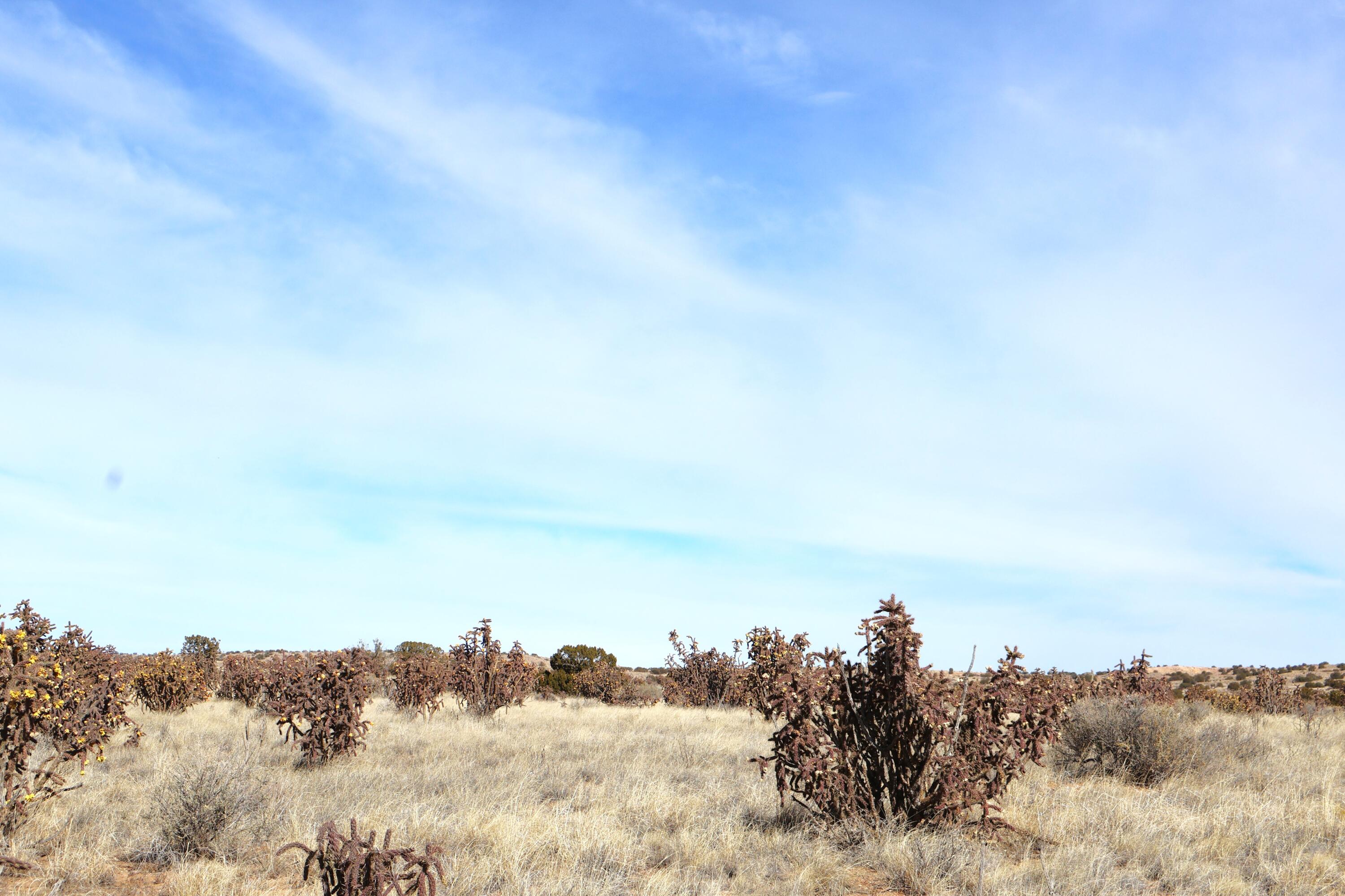 Lot 23, 24, 25 Rio Rancho Estates NE