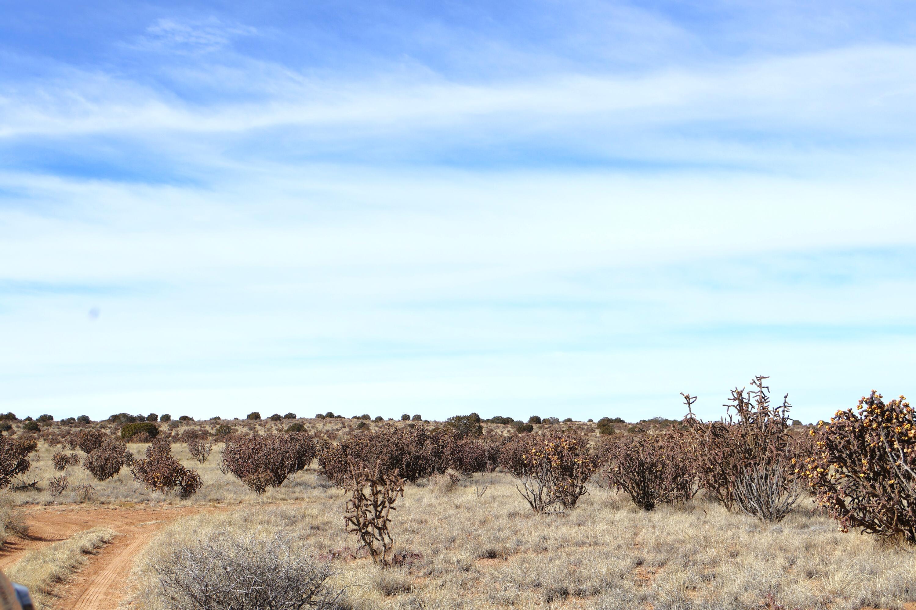 Lot 23, 24, 25 Rio Rancho Estates NE