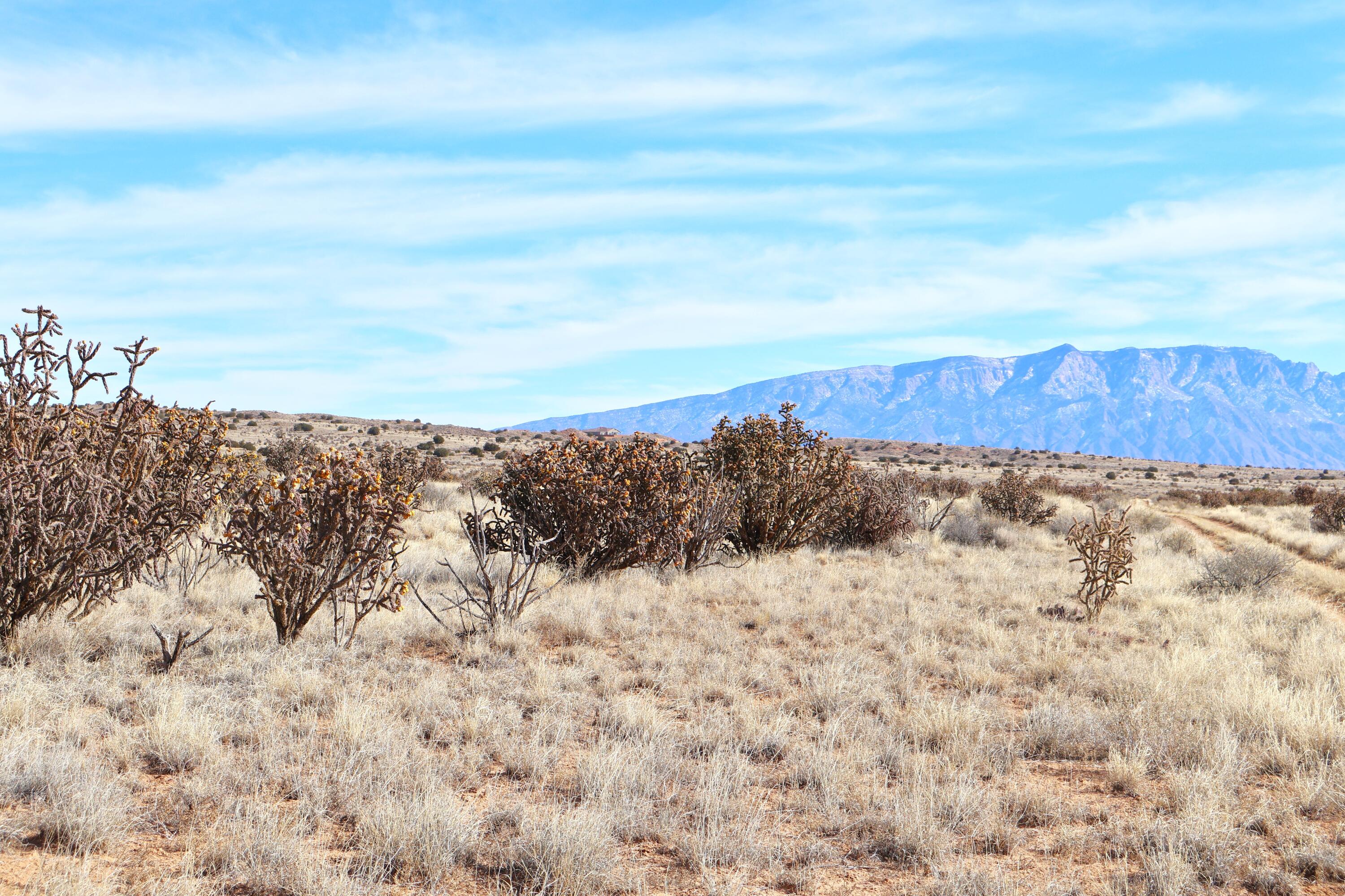 Lot 23, 24, 25 Rio Rancho Estates NE