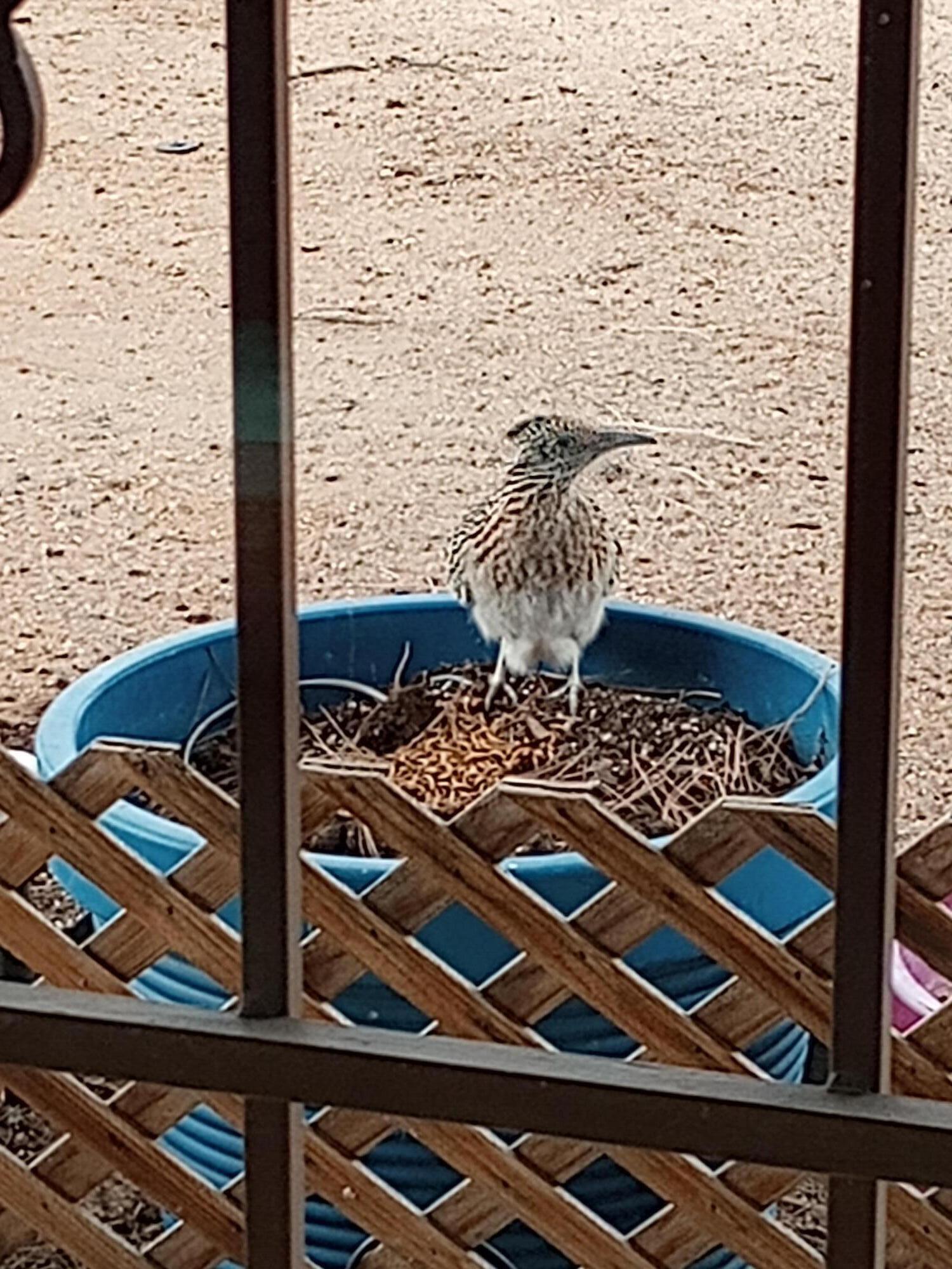 701 Alvarado Drive SE