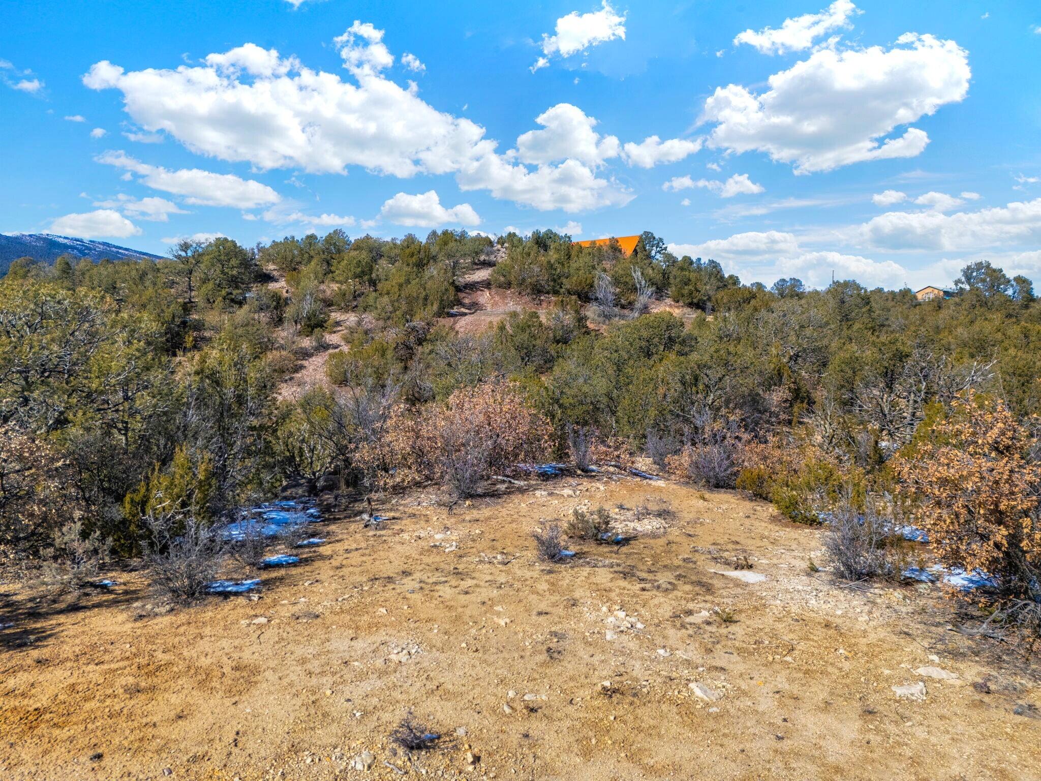 31 & 37 Bilotto Drive