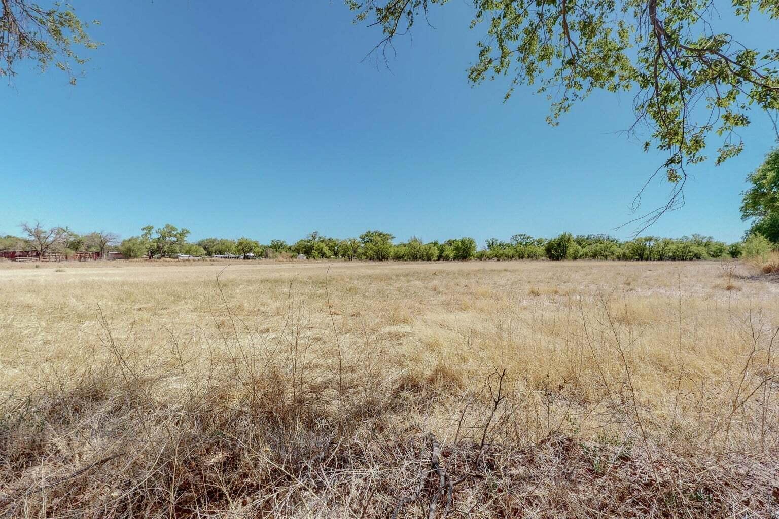 Open grassy acreage bordered by trees beneath a clear blue sky.