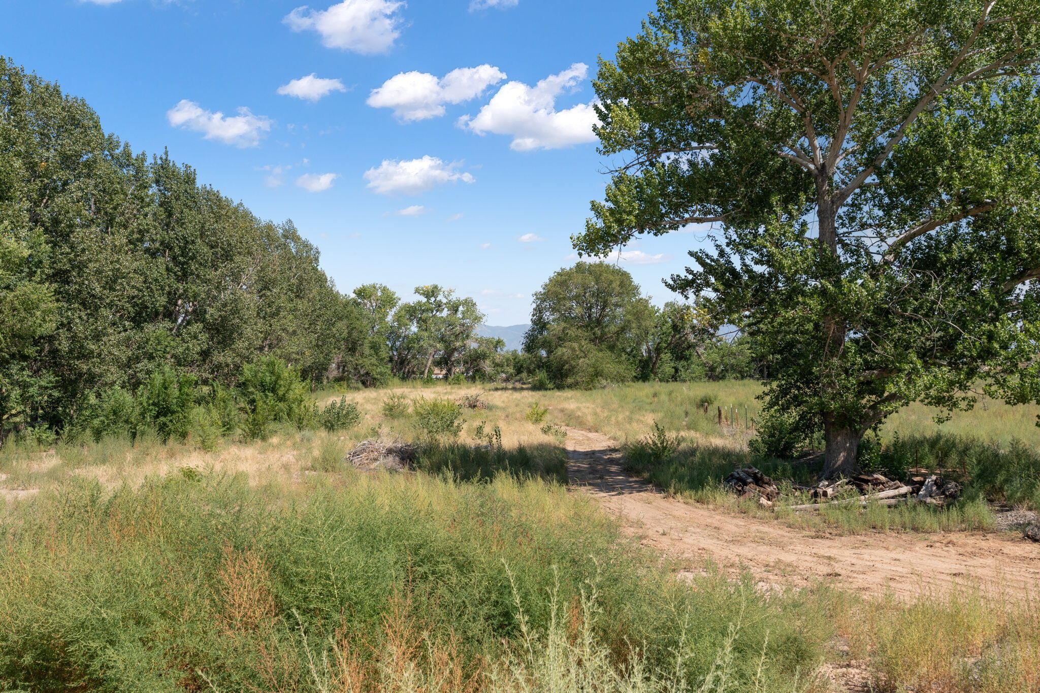 1500 N Mesa Road