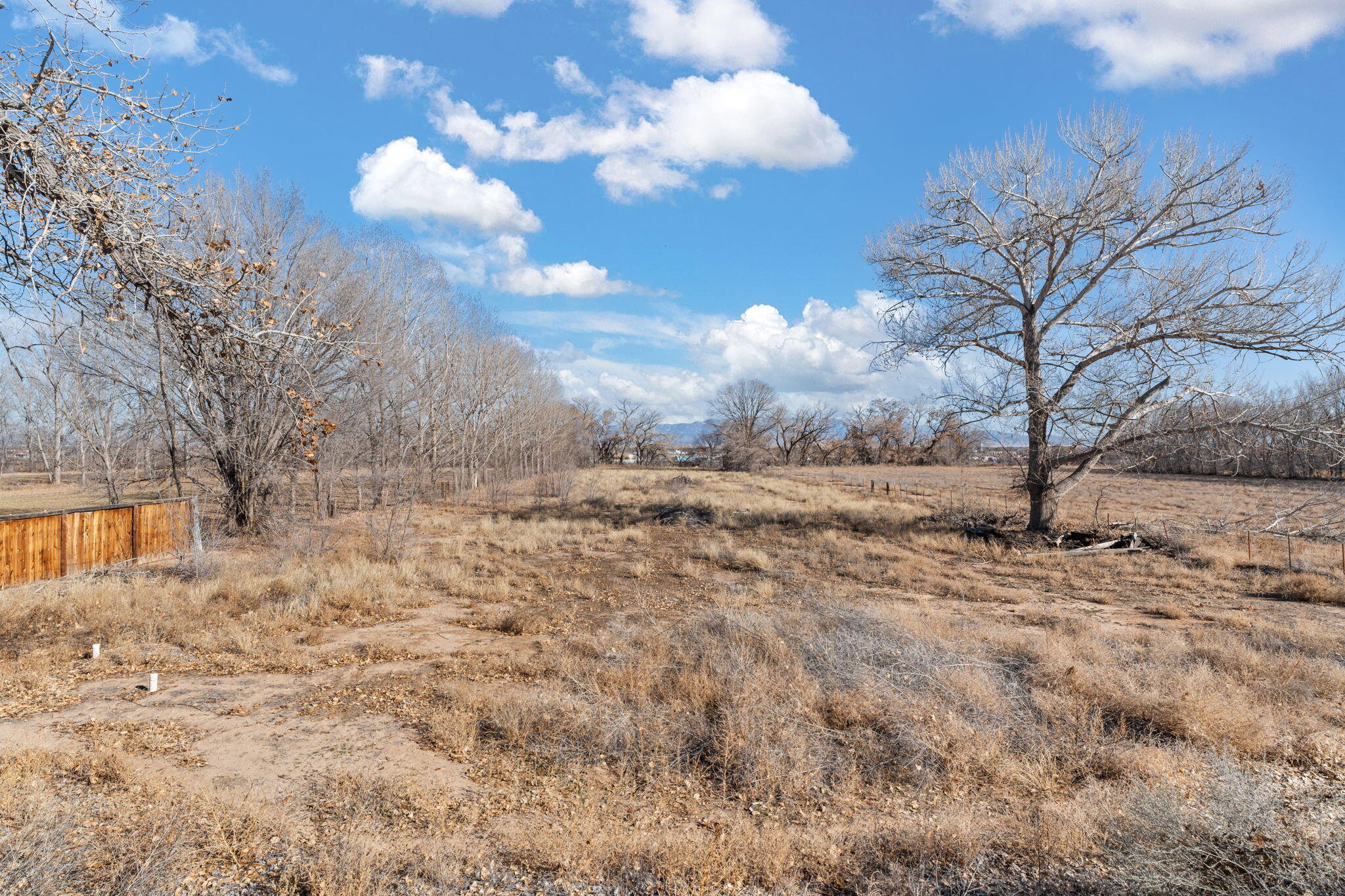 1500 N Mesa Road