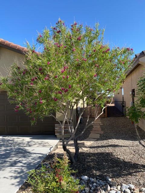 6016 Boulder Canyon Road NW