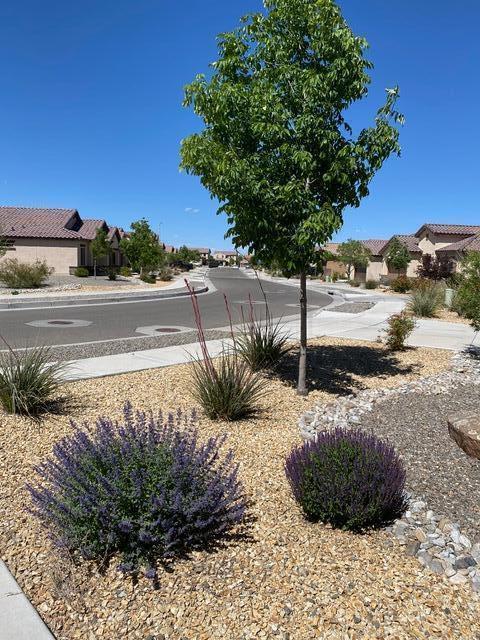 6016 Boulder Canyon Road NW