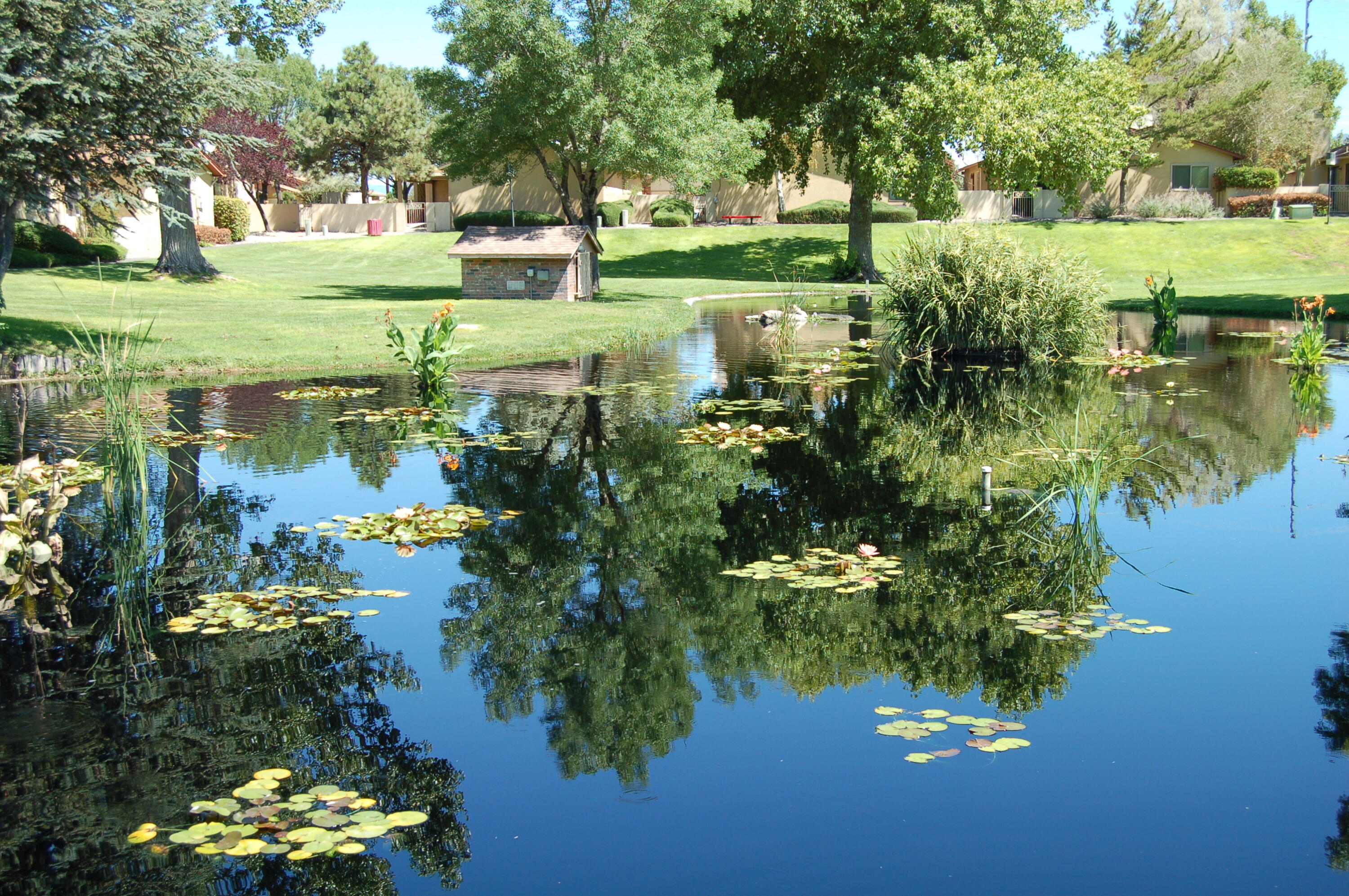 10609 Griffith Park Drive NE