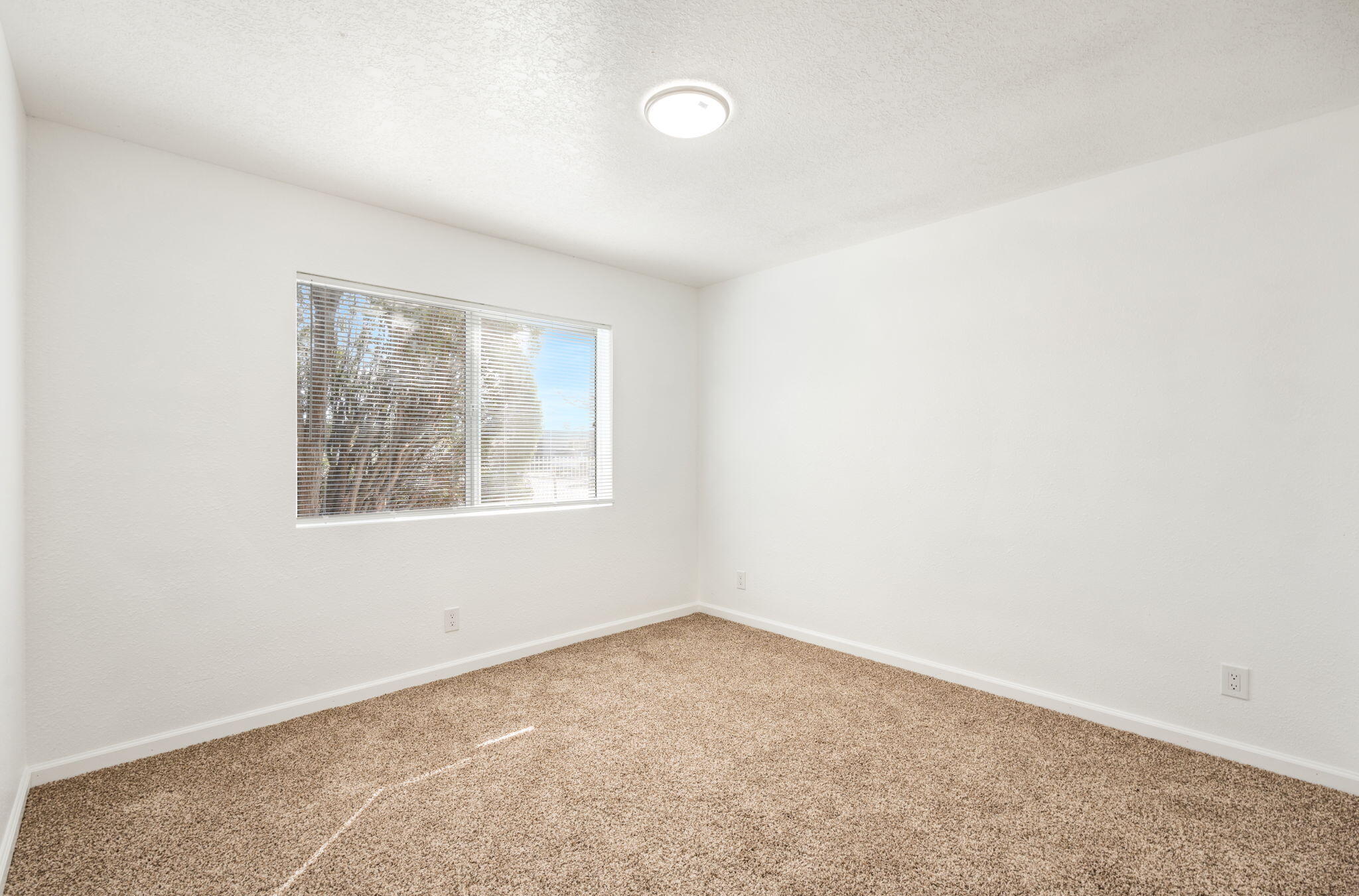 513 53rd Street SW
