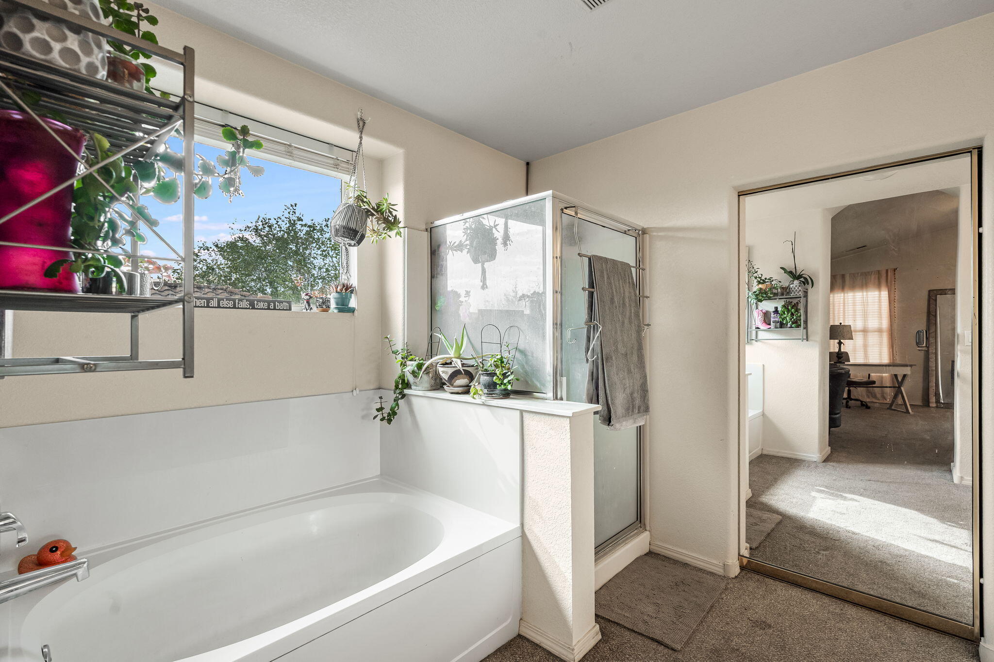 5908 Mesa Sombra Place NW