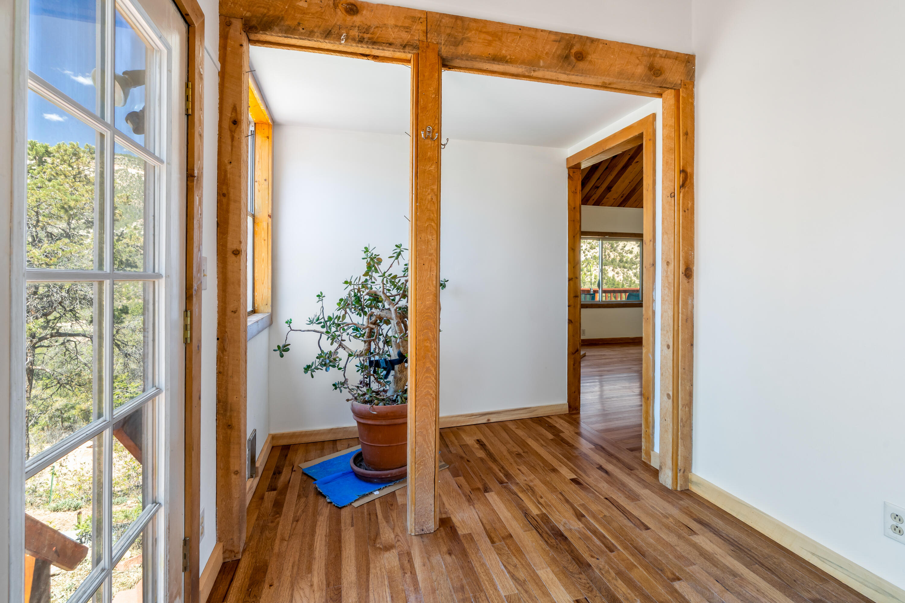 1499 San Diego Loop