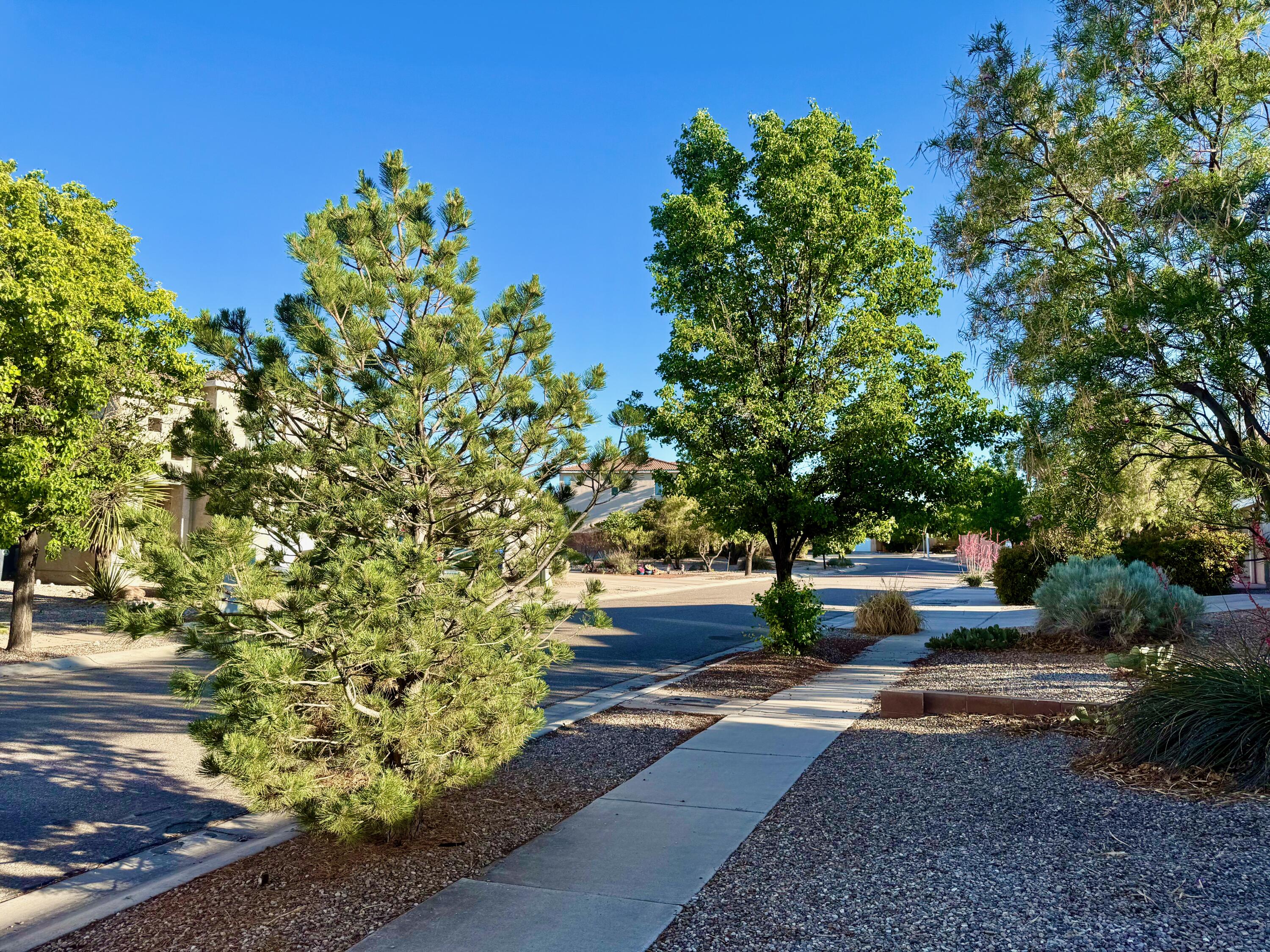 10909 Dream Weaver Drive NW