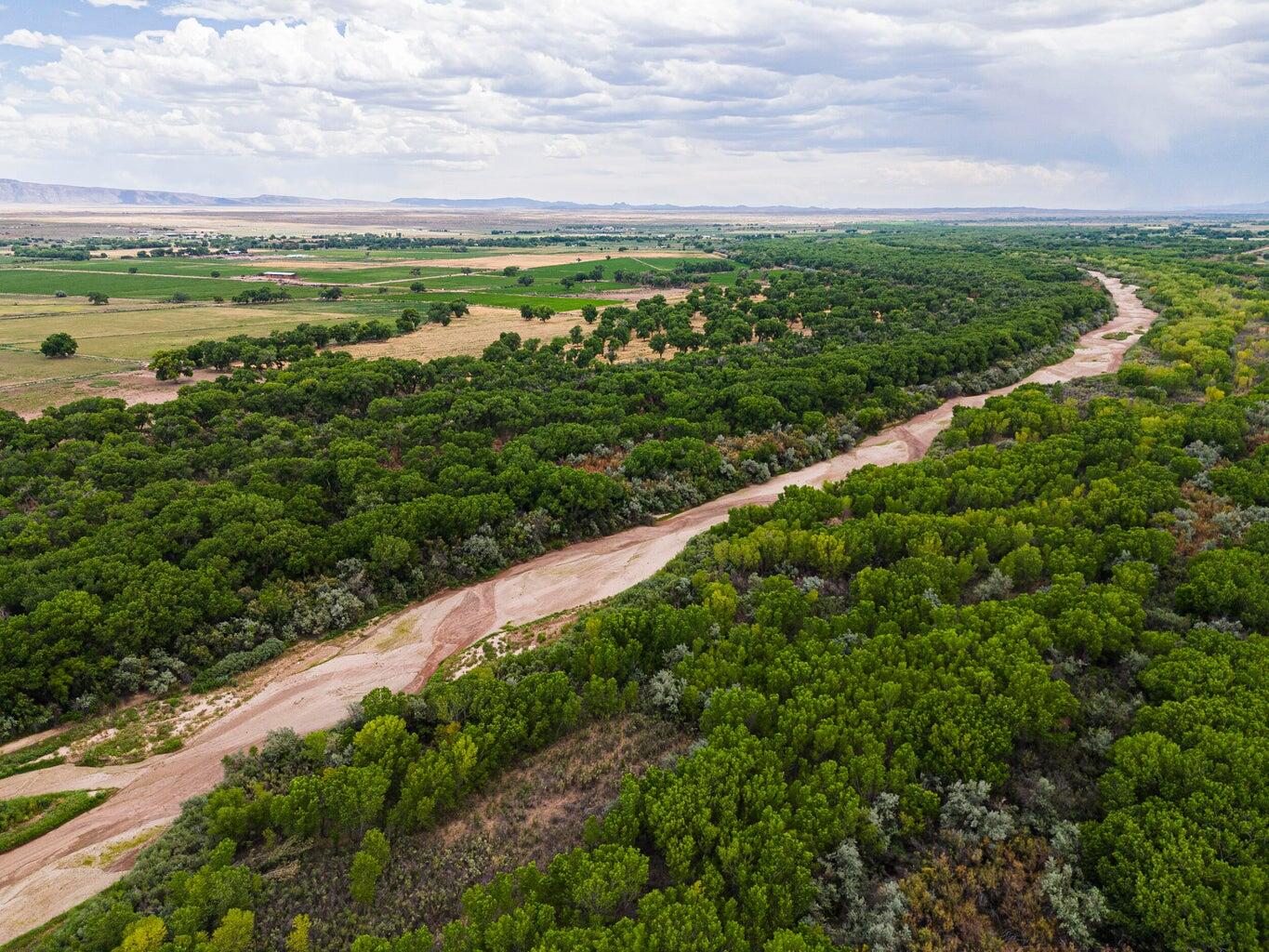 New Mexico 116