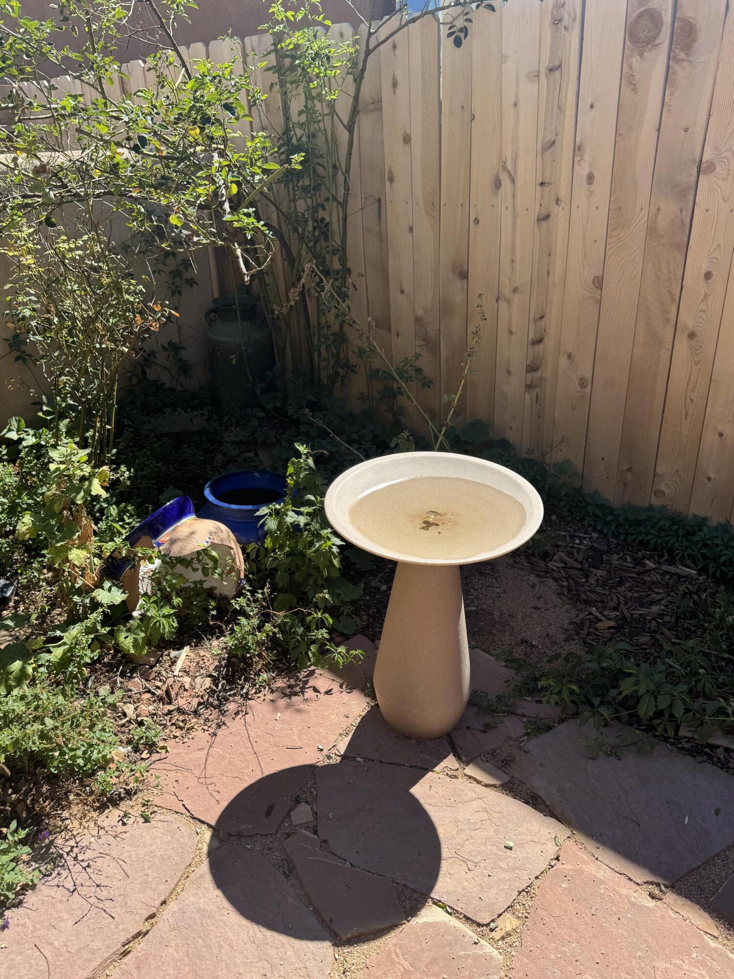 6755 Camino Carlita