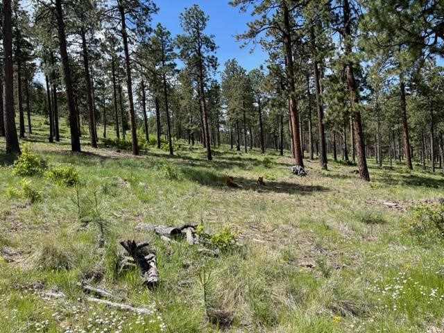 192 Llano de La Legua