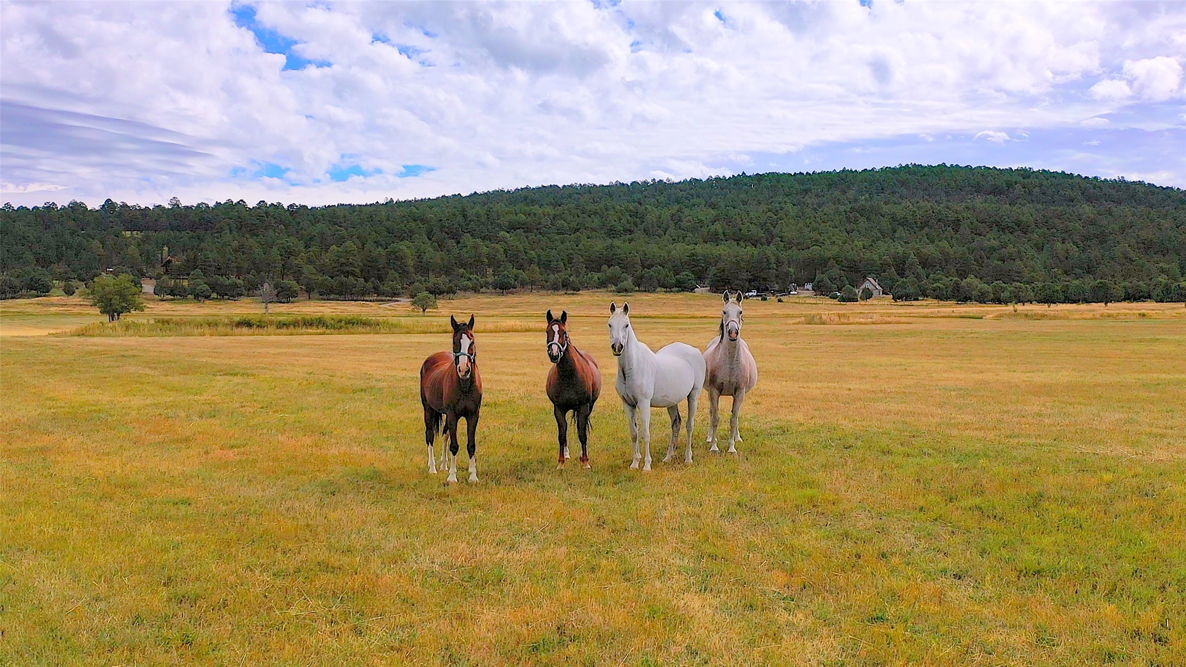 192 Llano de La Legua