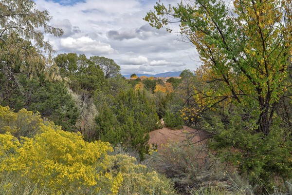 839 Colonitas Campestres