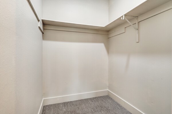 839 Colonitas Campestres