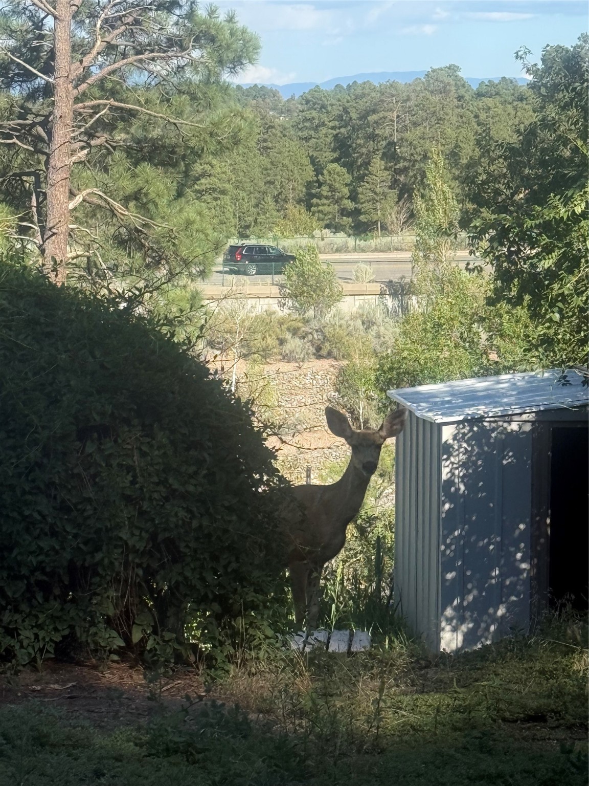 4039 Sycamore Streets b