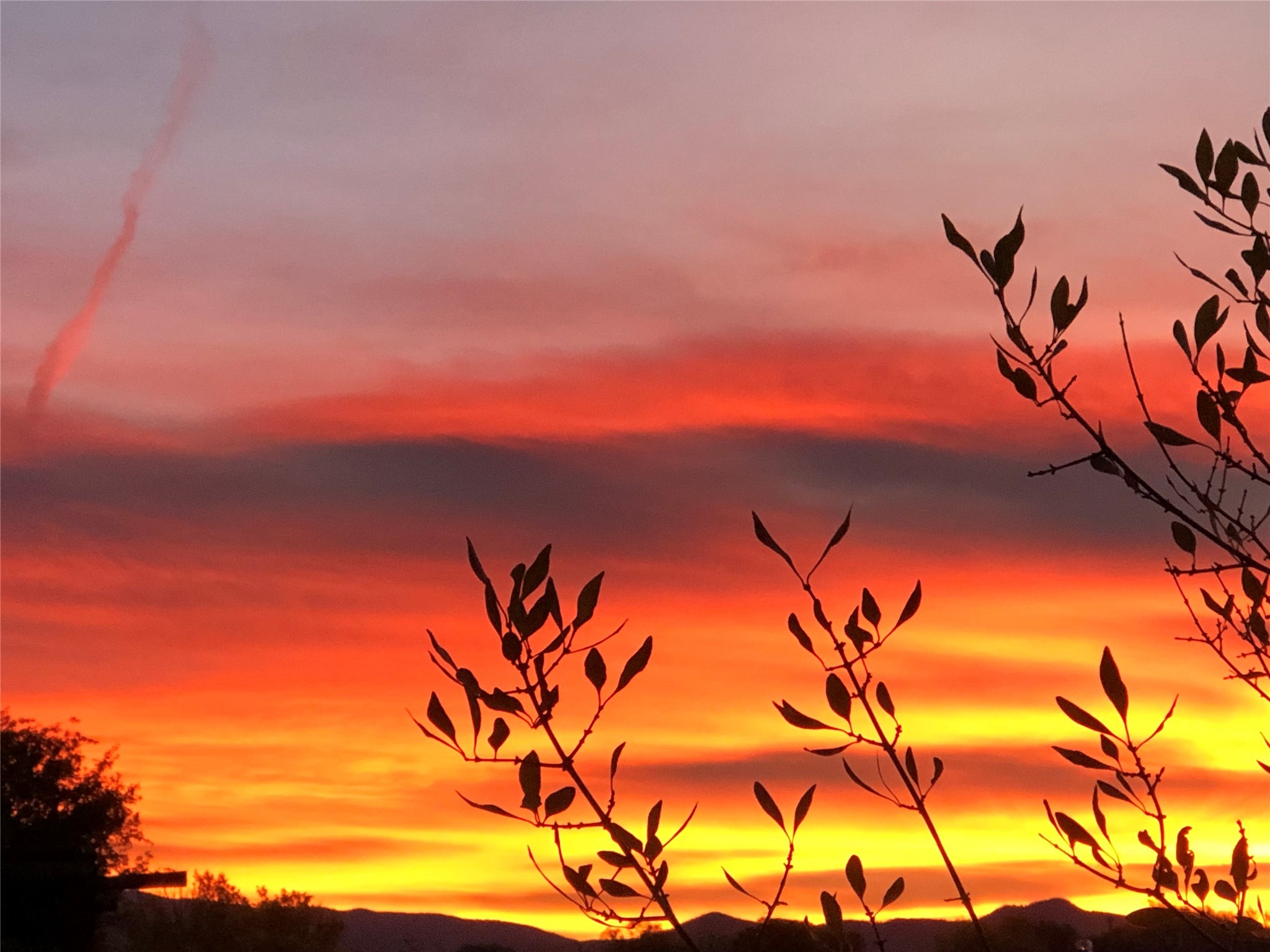 4228 Roadrunner Lane