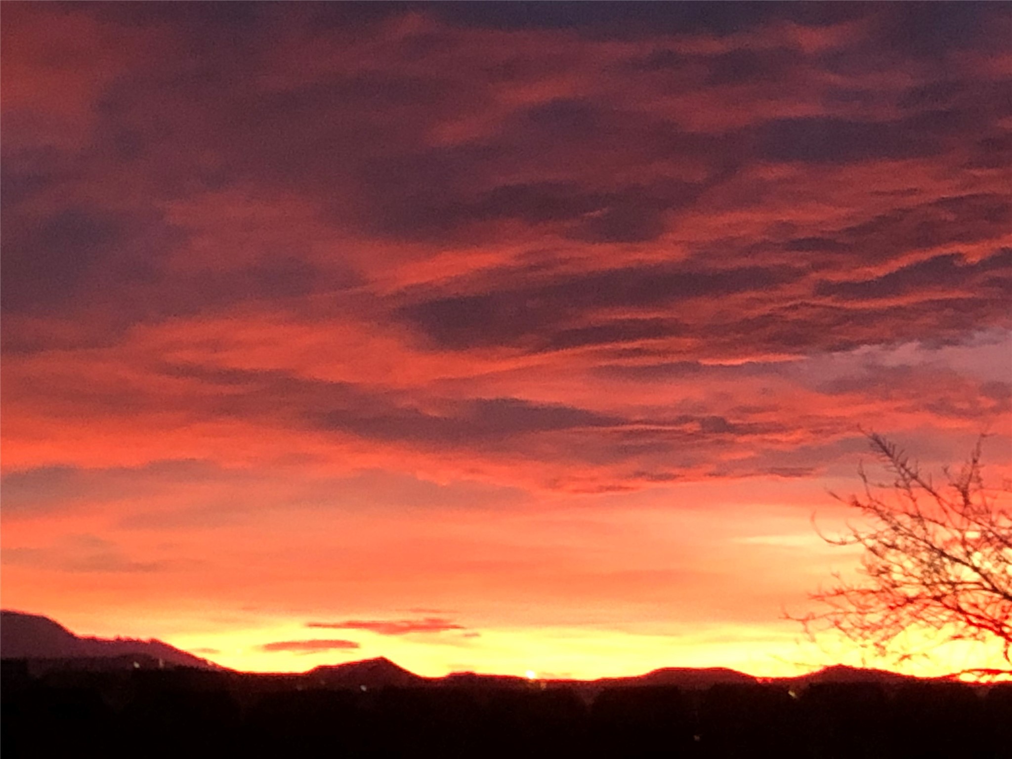 4228 Roadrunner Lane