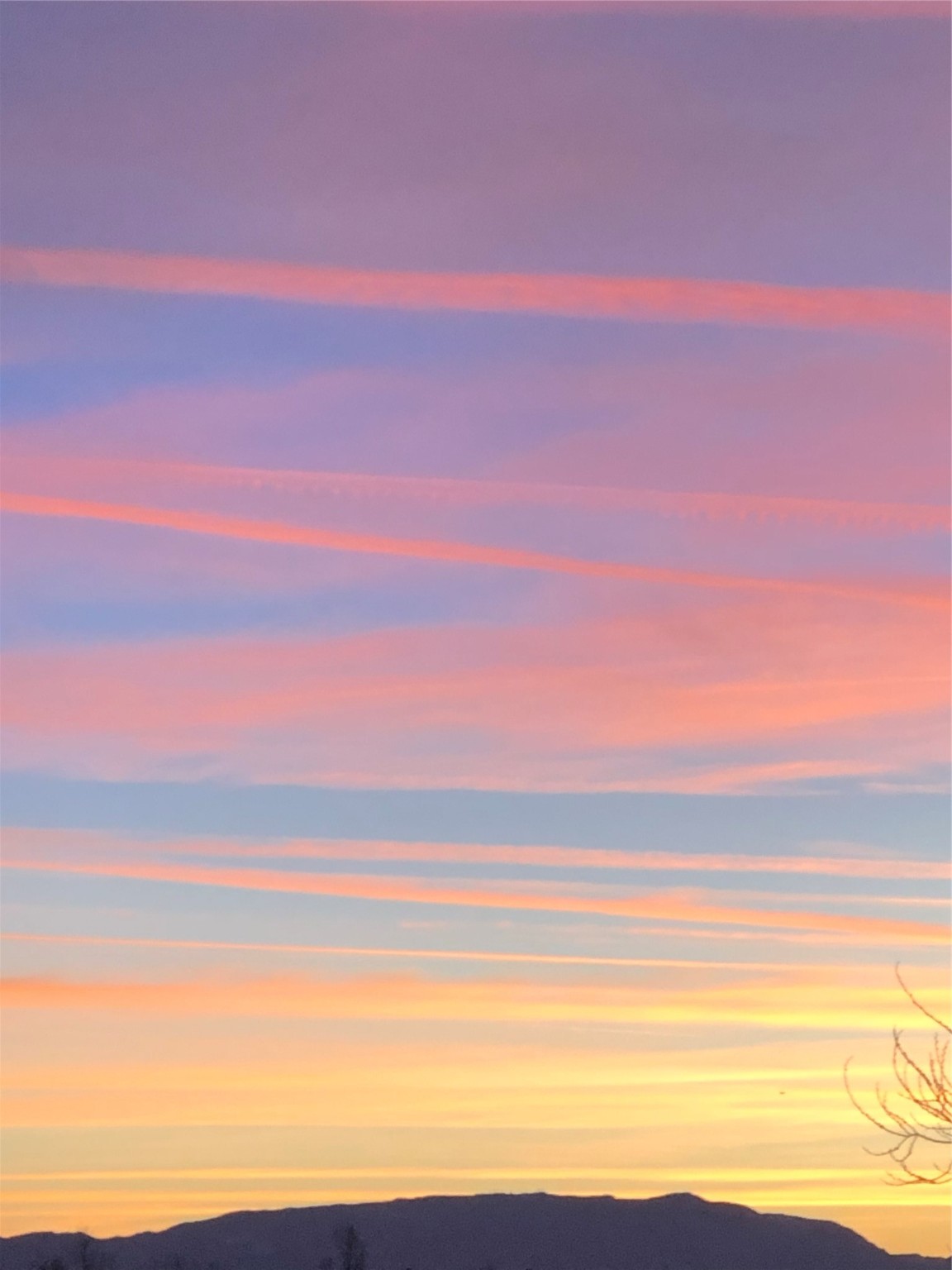 4228 Roadrunner Lane