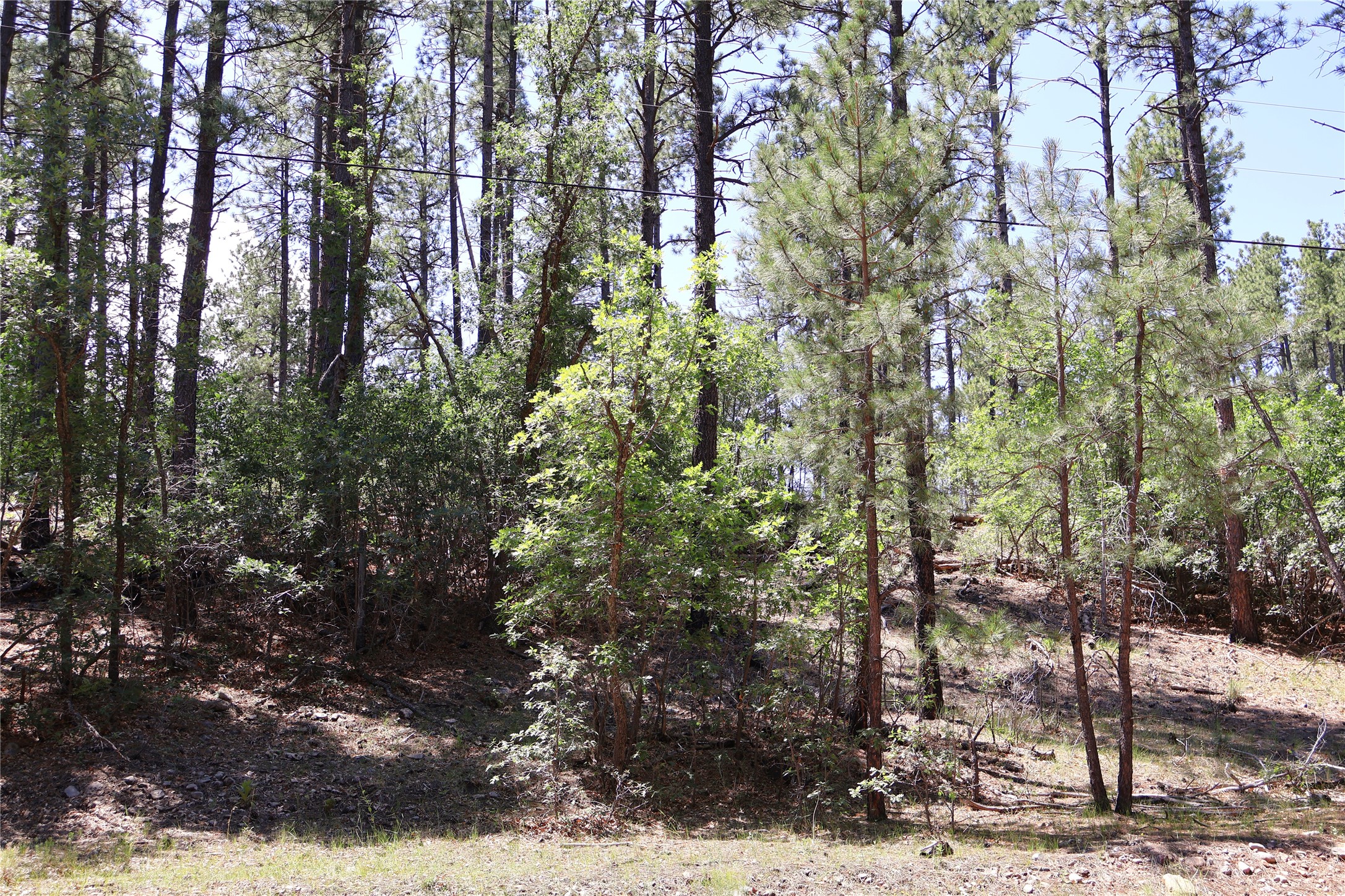 Lot 5 Sherwood Forrest
