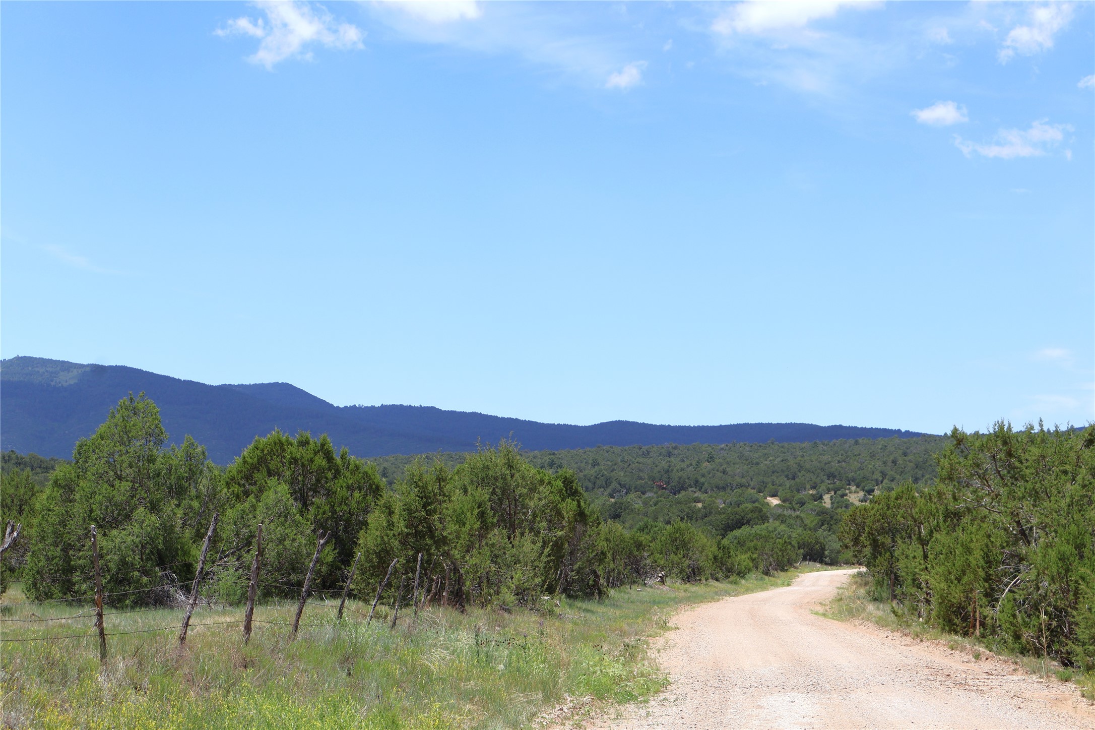 Lot 37 Sherwood Forrest