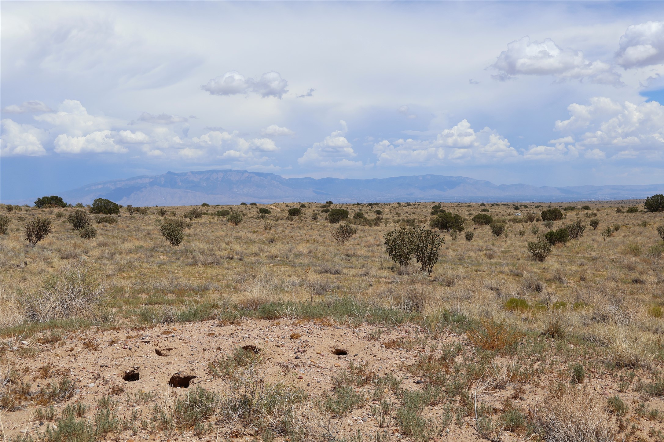 Rio Rancho Estates Lot 20 SW