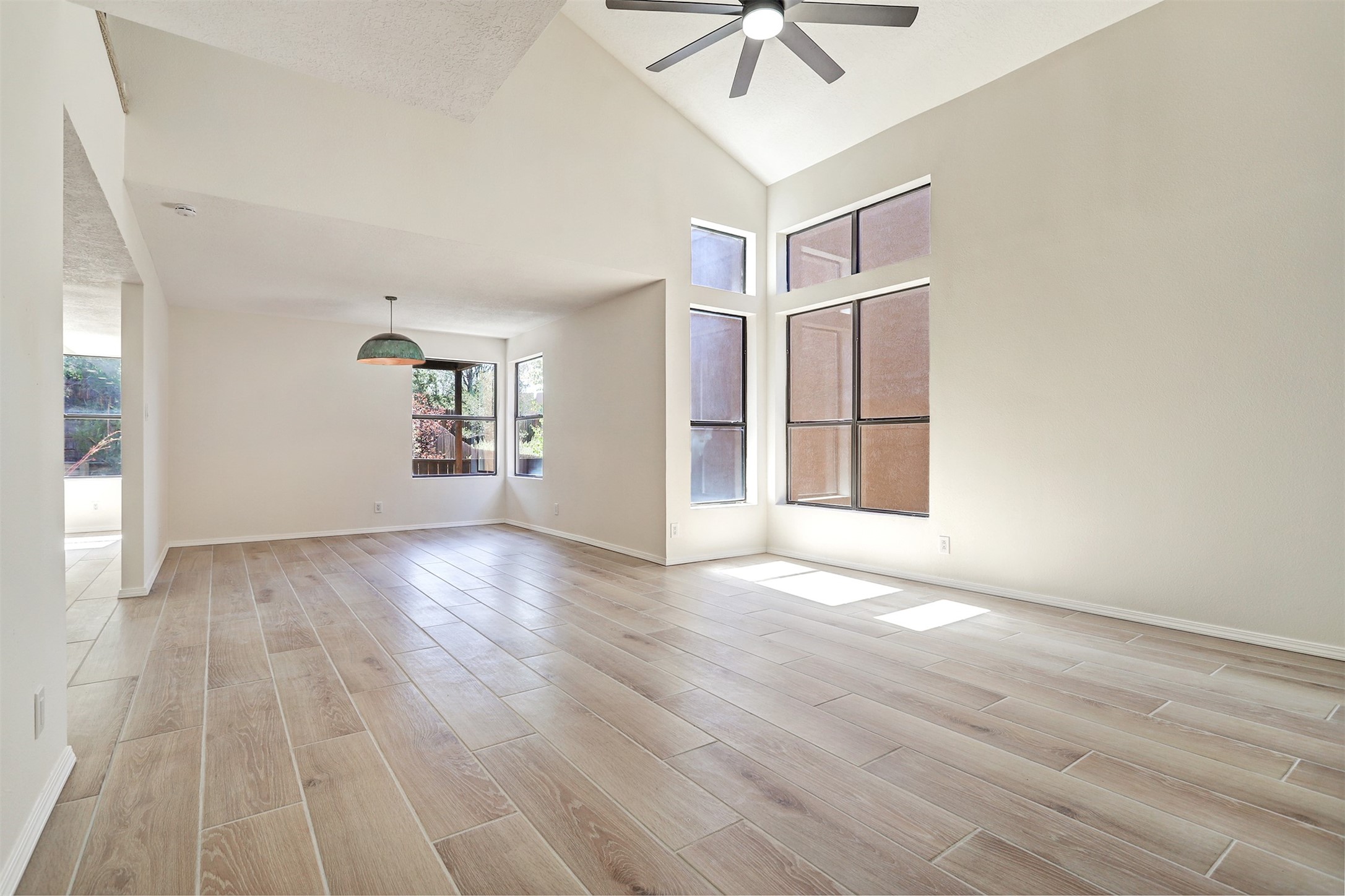 2921 Viaje Pavo Real