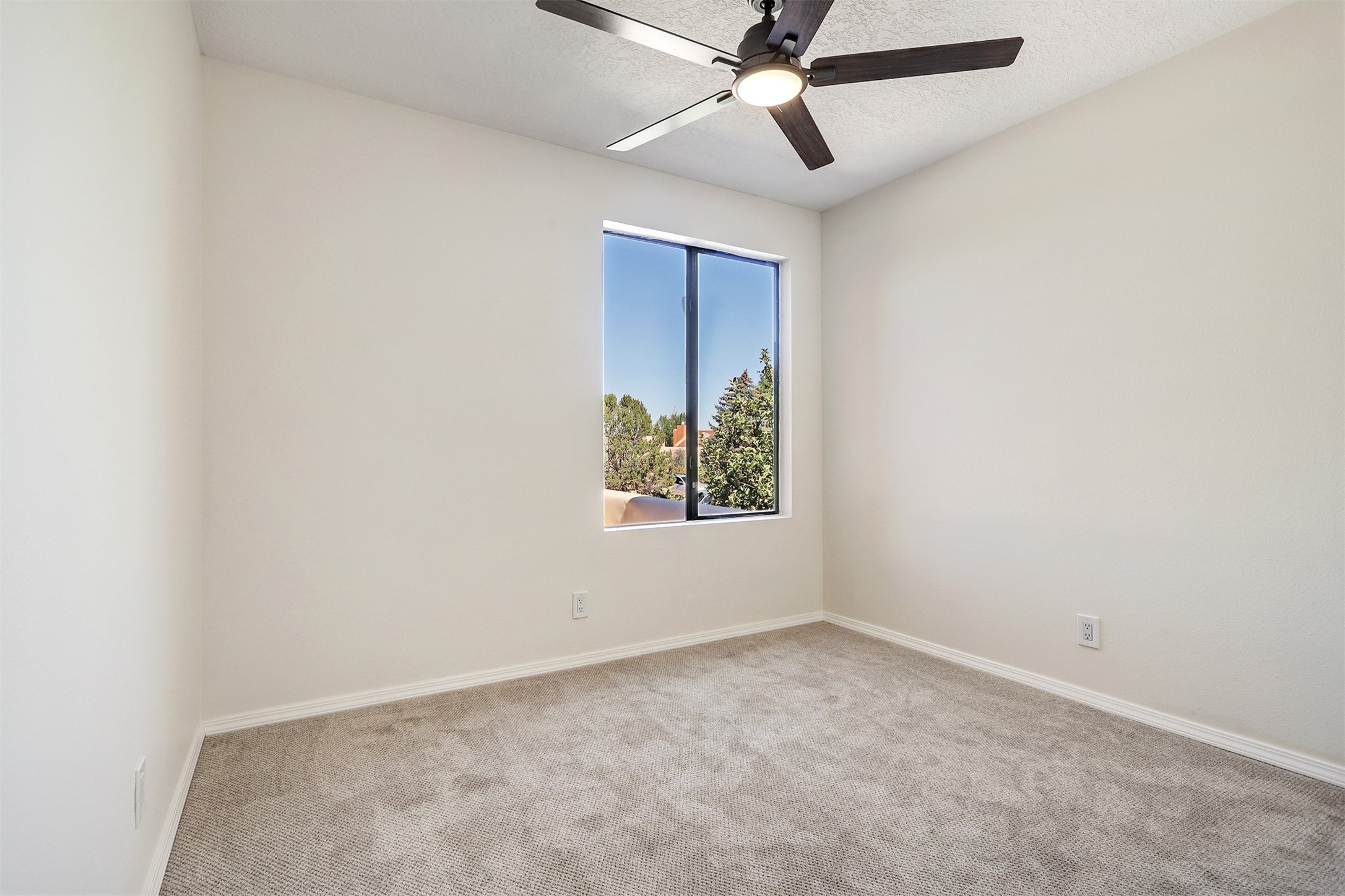 2921 Viaje Pavo Real