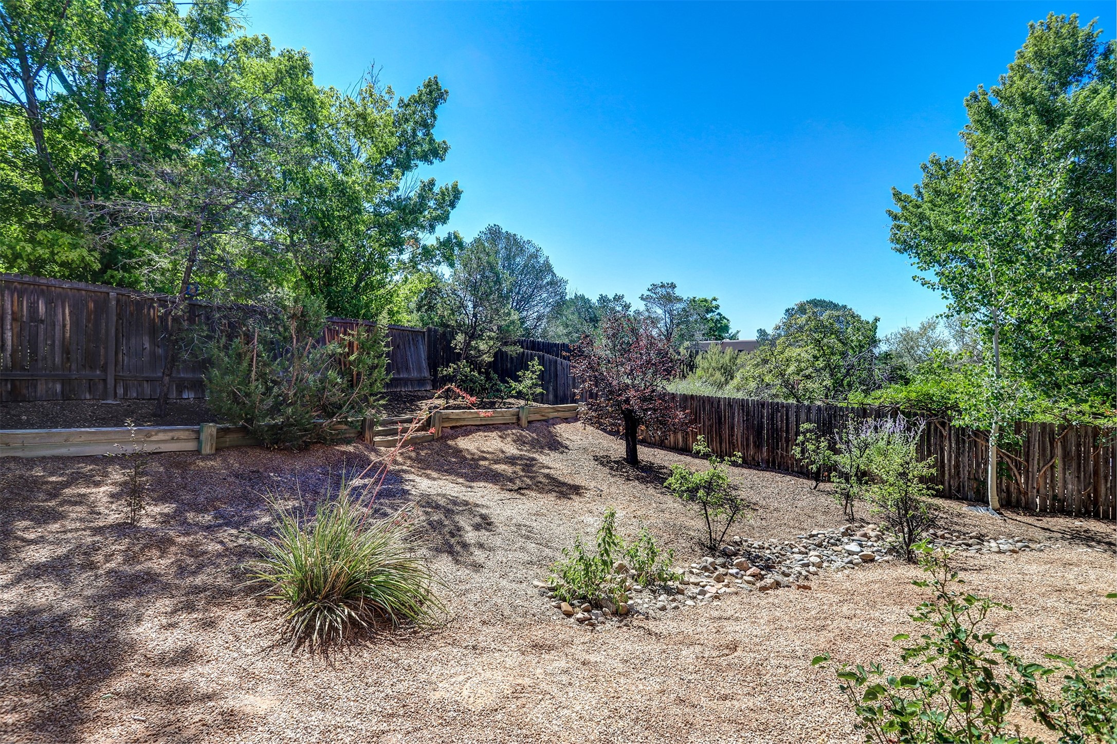 2921 Viaje Pavo Real