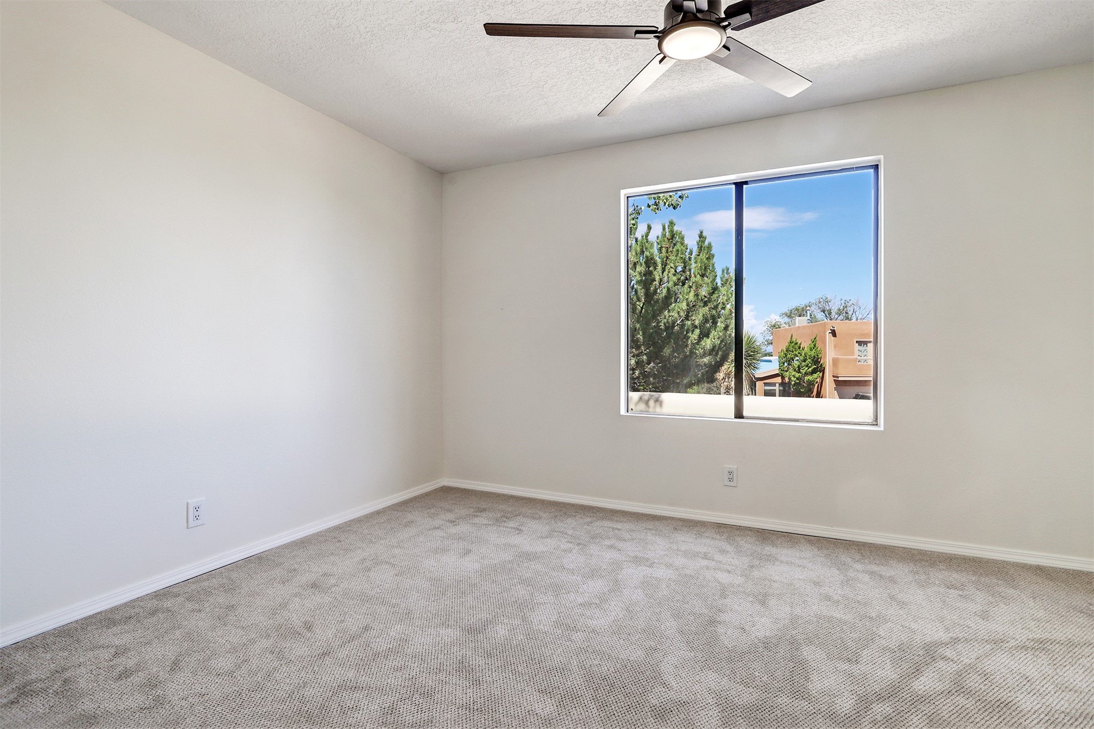 2921 Viaje Pavo Real