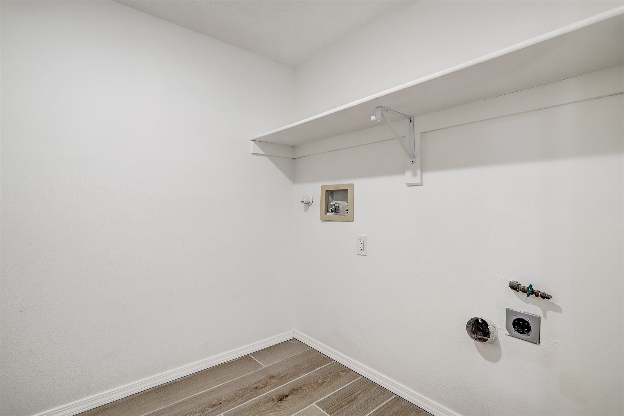 2921 Viaje Pavo Real