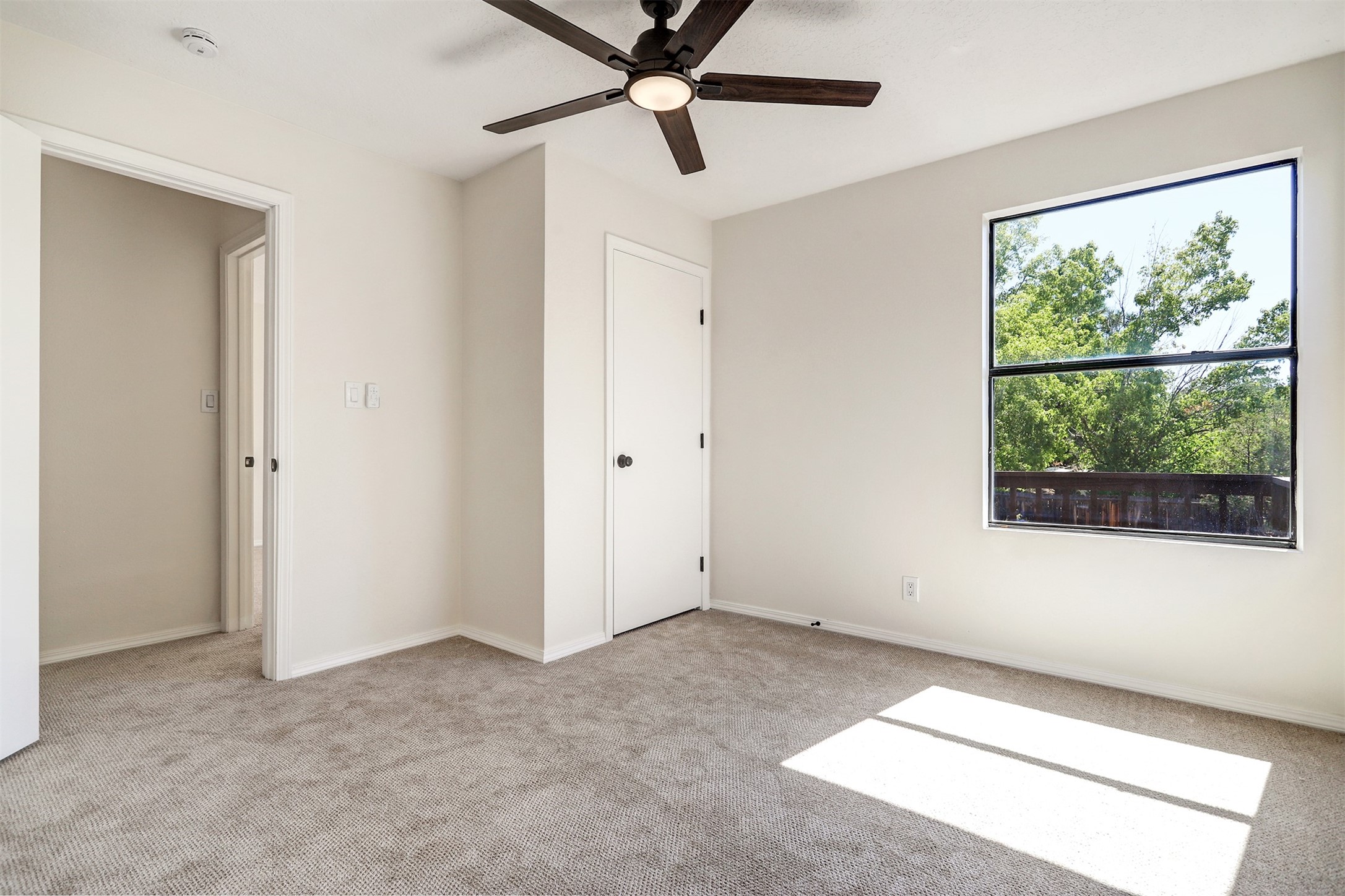 2921 Viaje Pavo Real