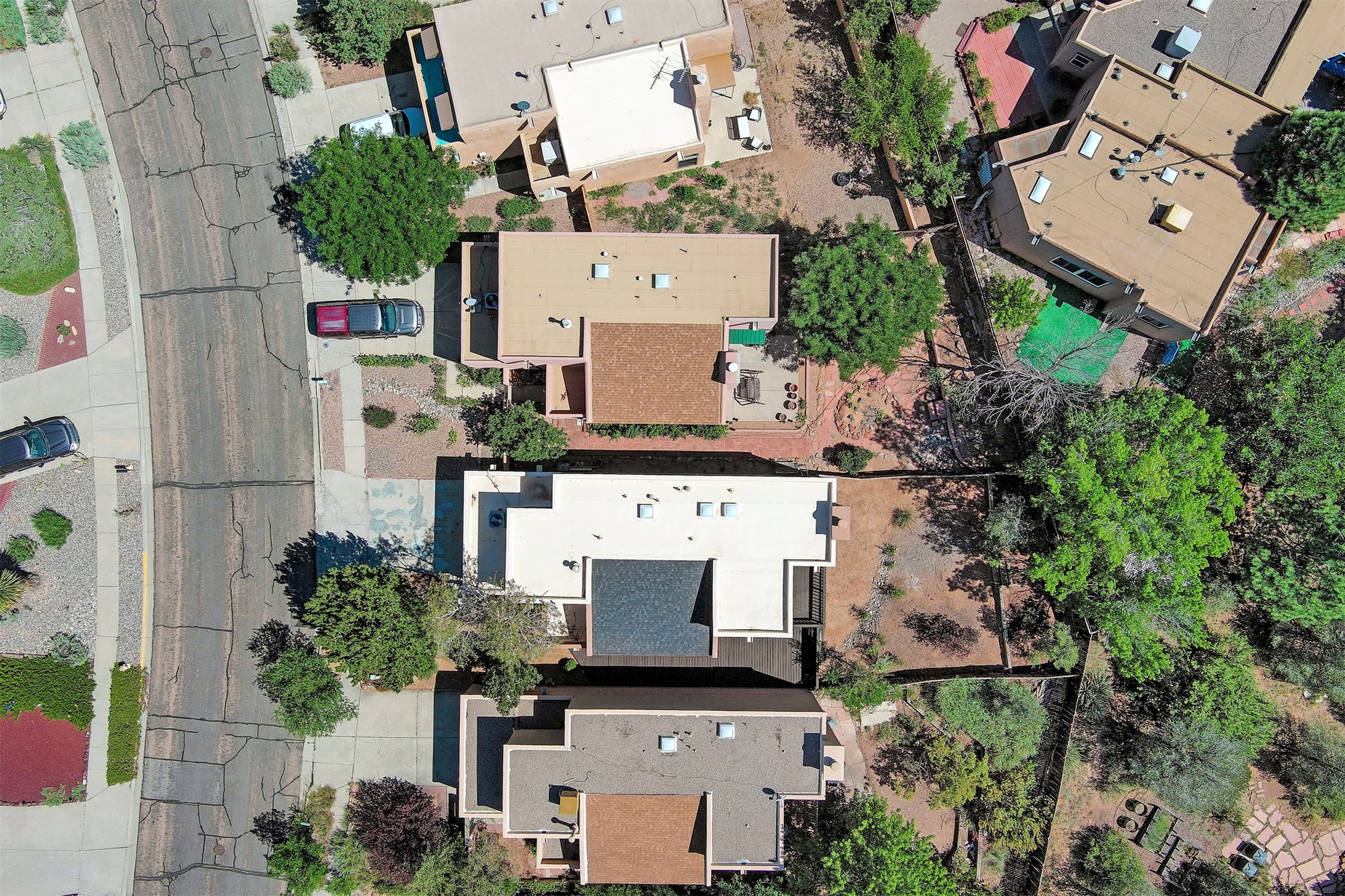 2921 Viaje Pavo Real