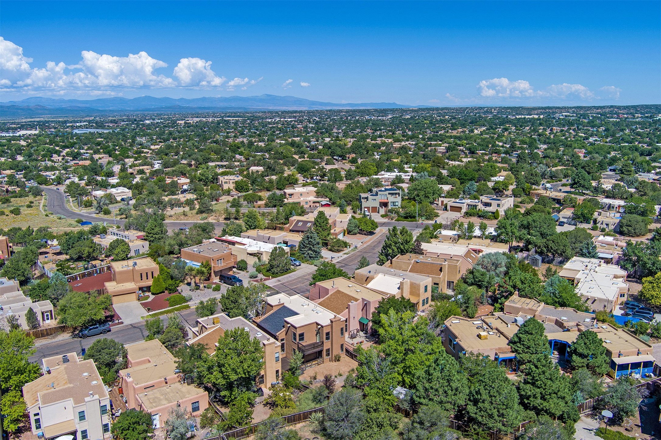 2921 Viaje Pavo Real