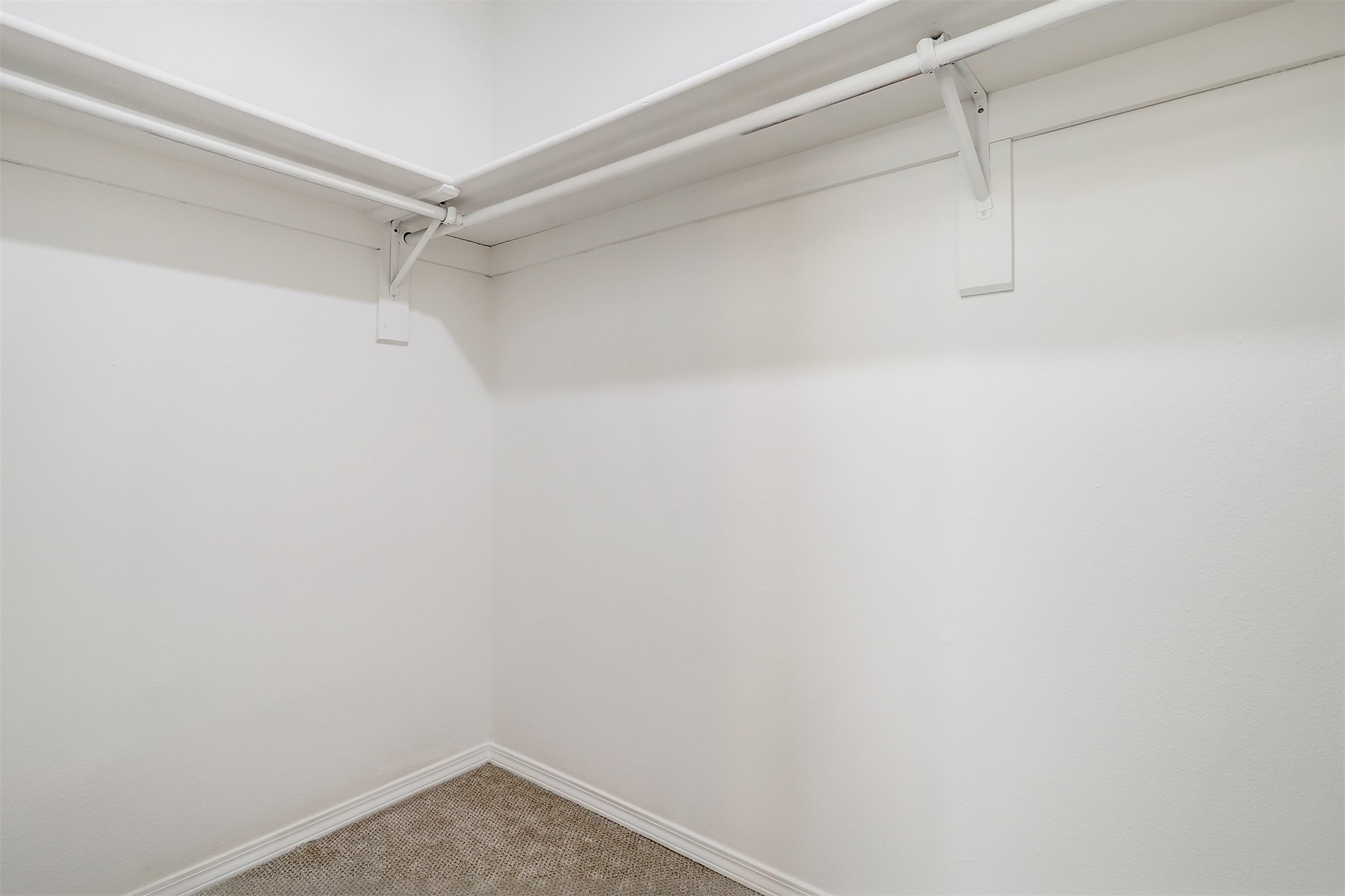 2921 Viaje Pavo Real