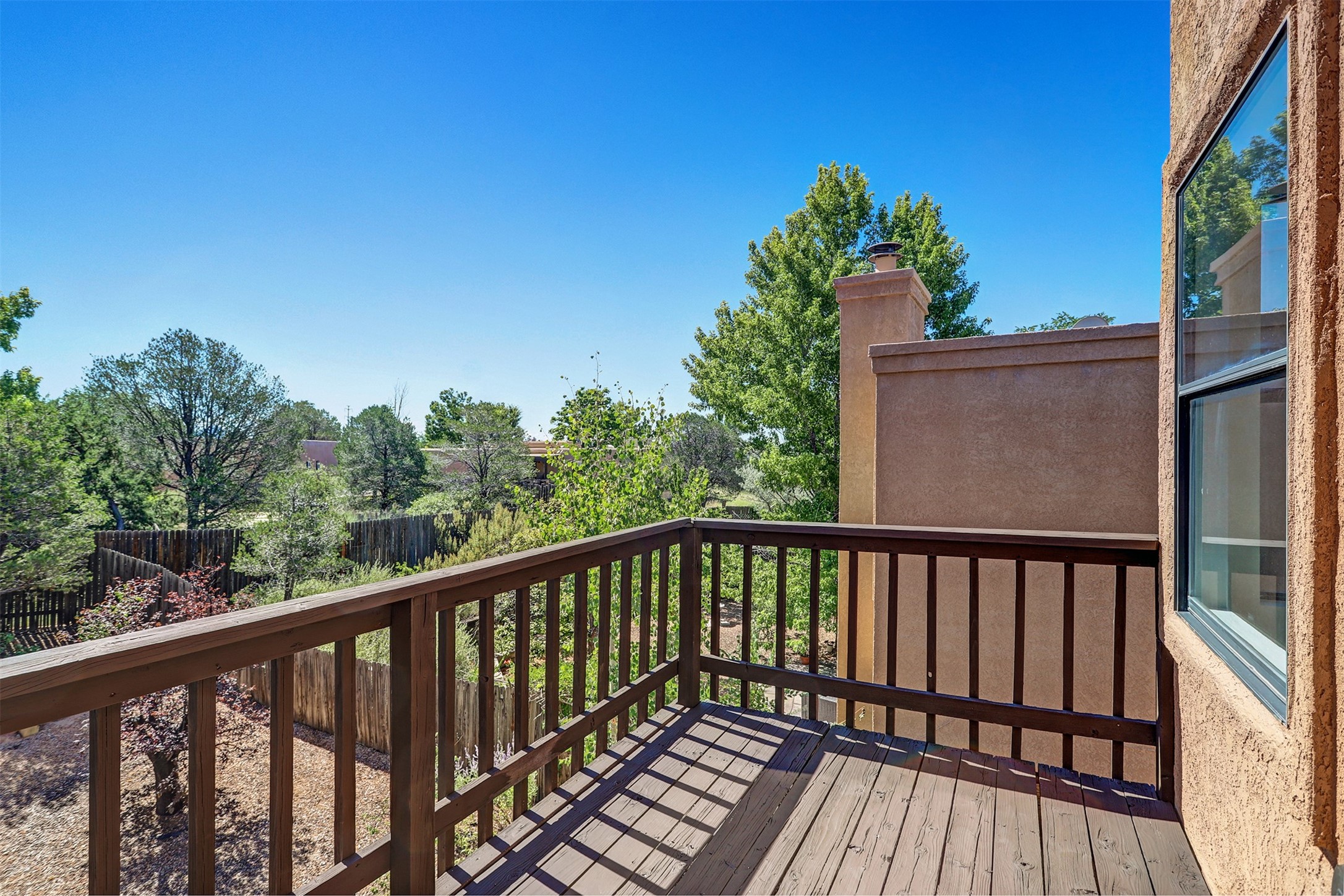 2921 Viaje Pavo Real