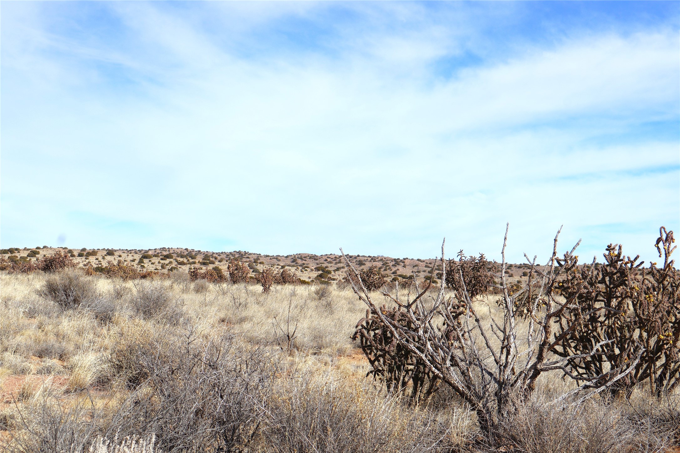 Lot 23, 24, 25 Rio Rancho Estates NE